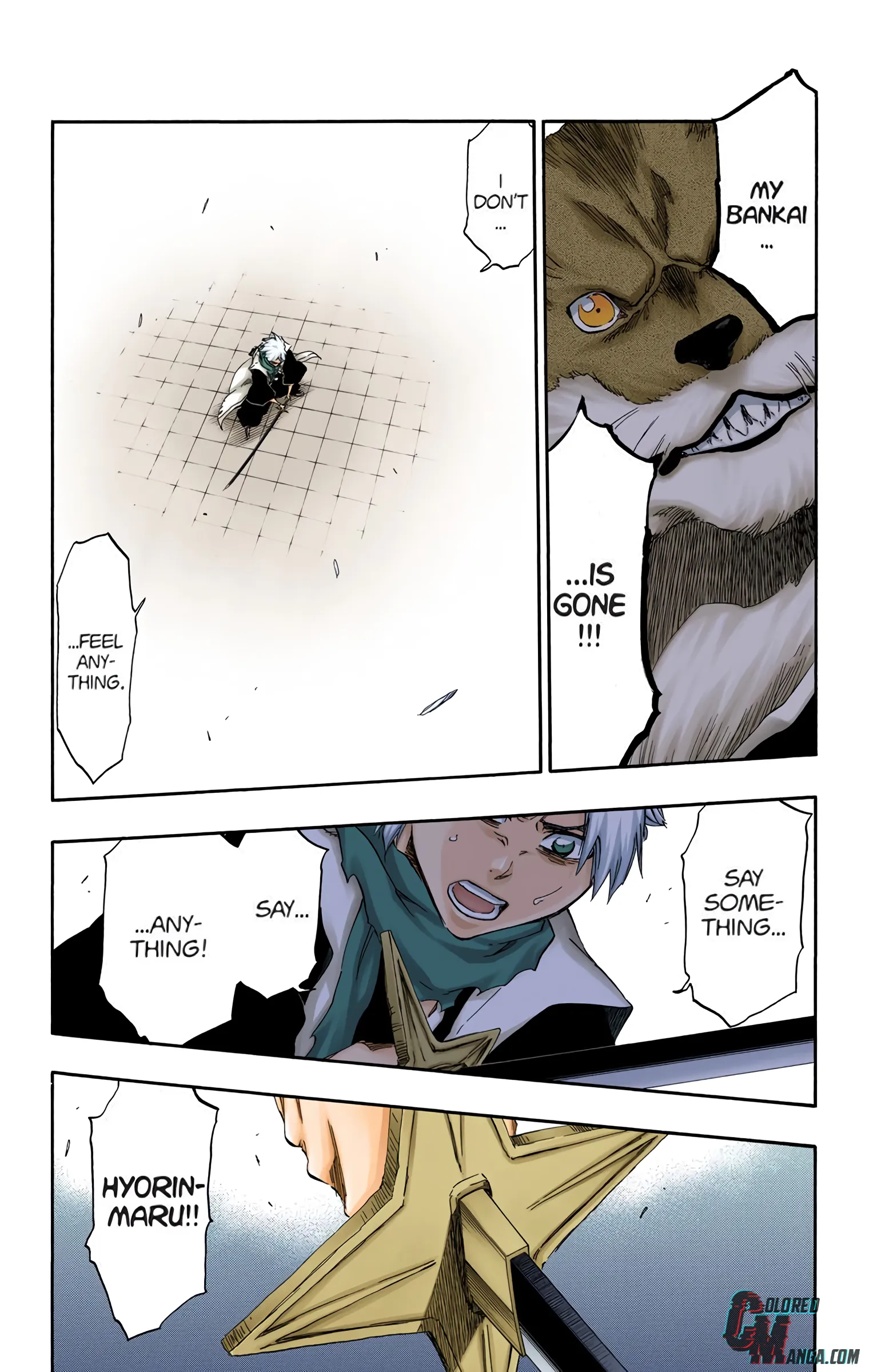 Read Bleach (Colored) EN Manga Online