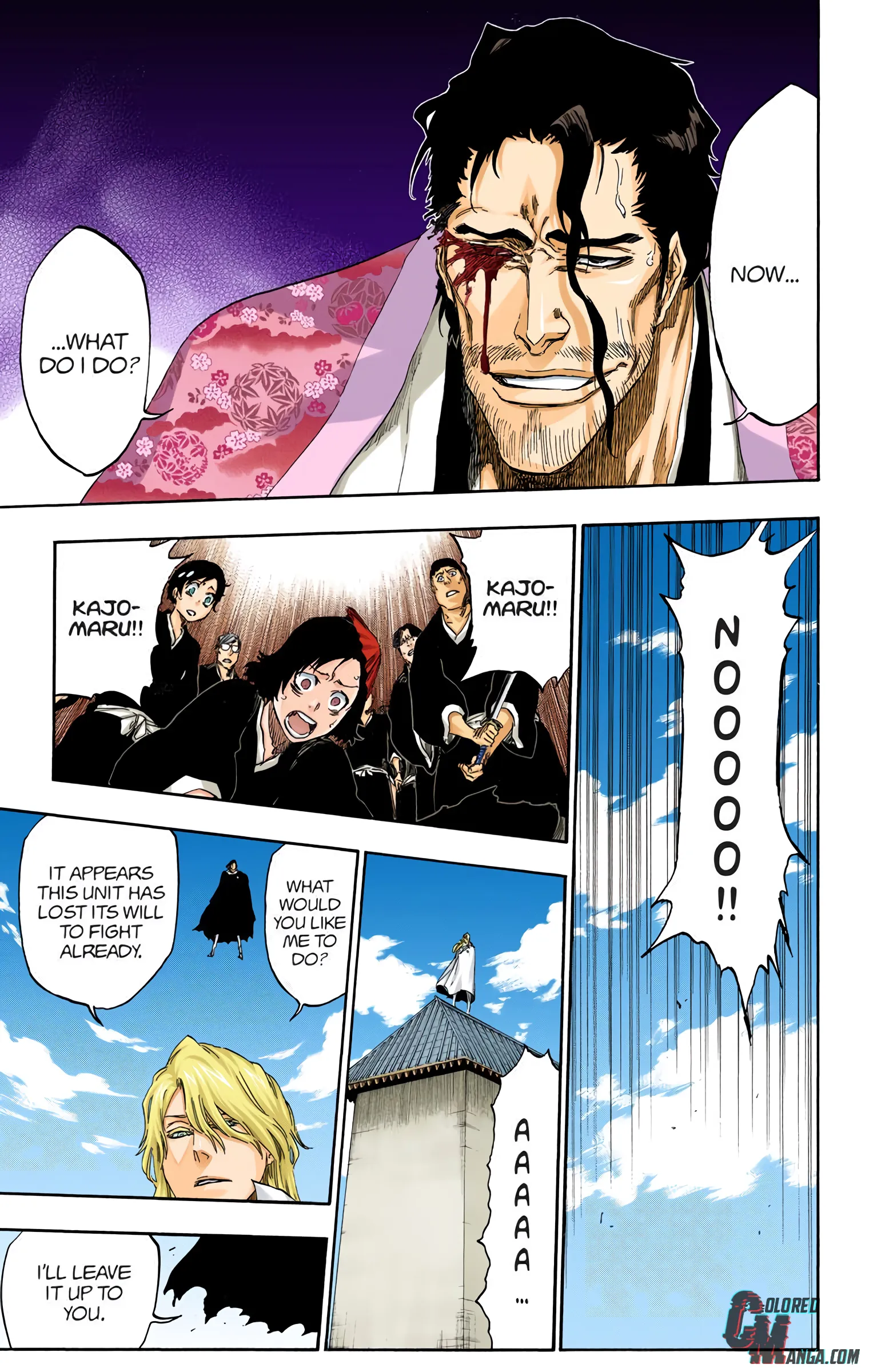 Read Bleach (Colored) EN Manga Online