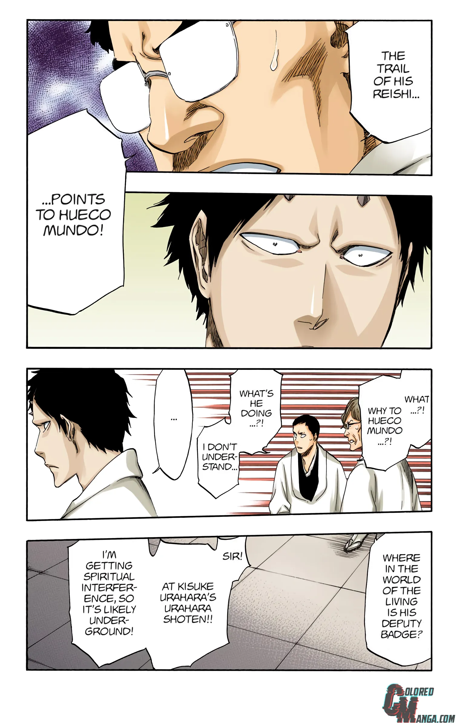 Read Bleach (Colored) EN Manga Online