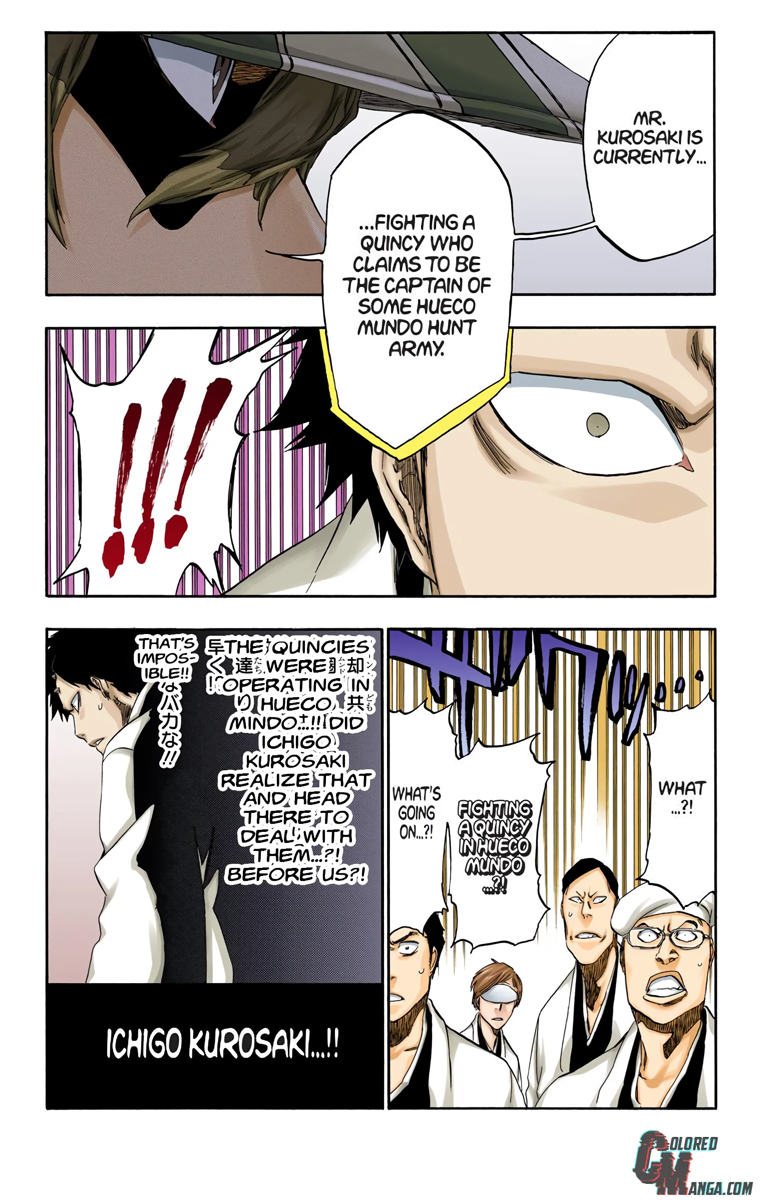 Read Bleach (Colored) EN Manga Online