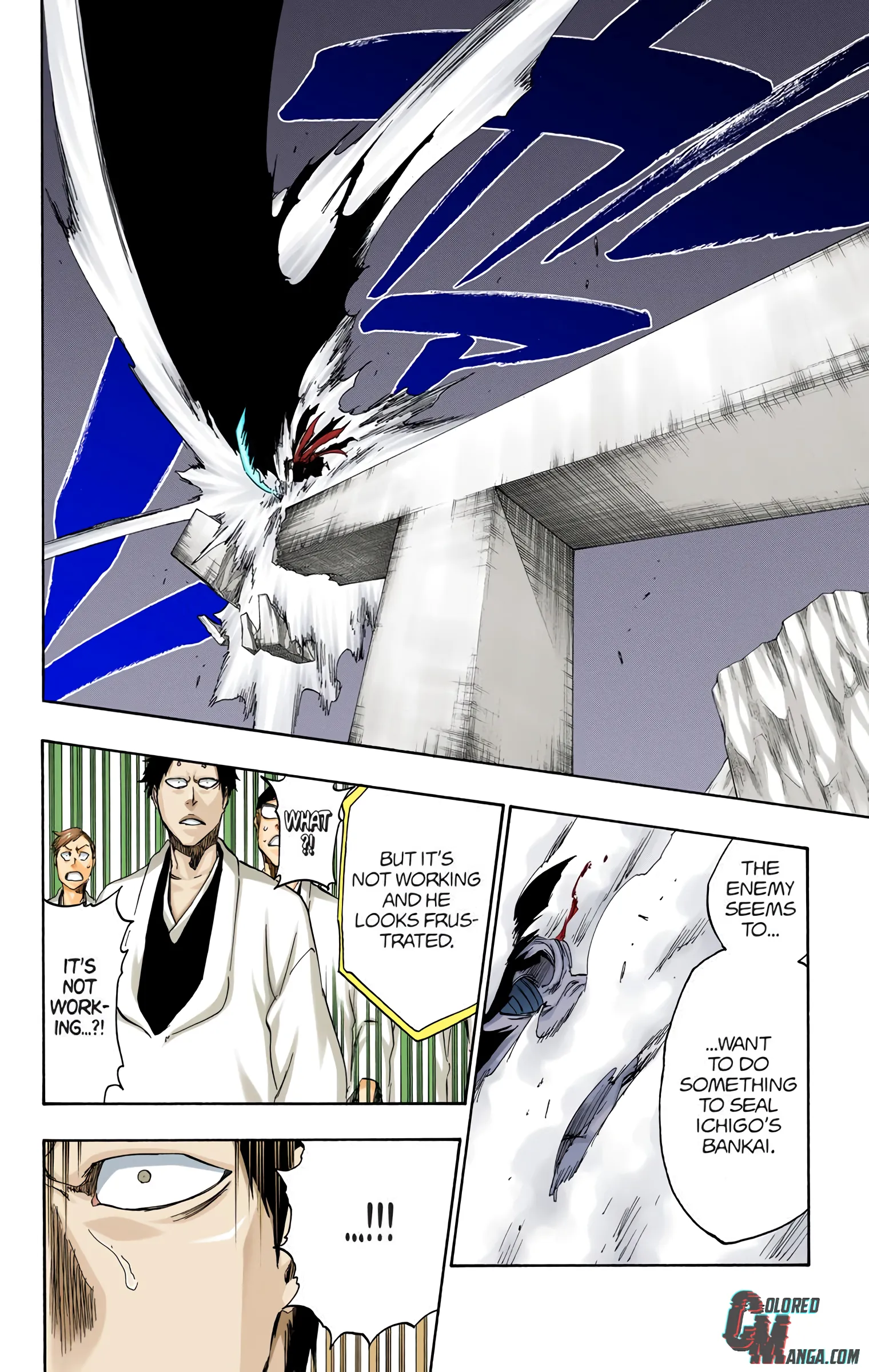 Read Bleach (Colored) EN Manga Online