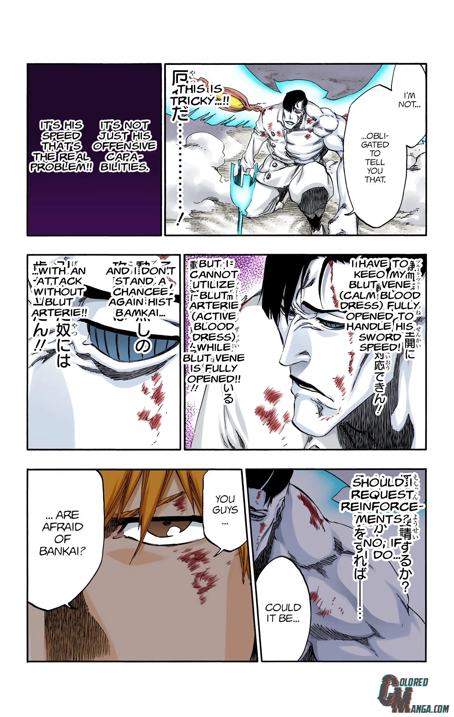 Read Bleach (Colored) EN Manga Online