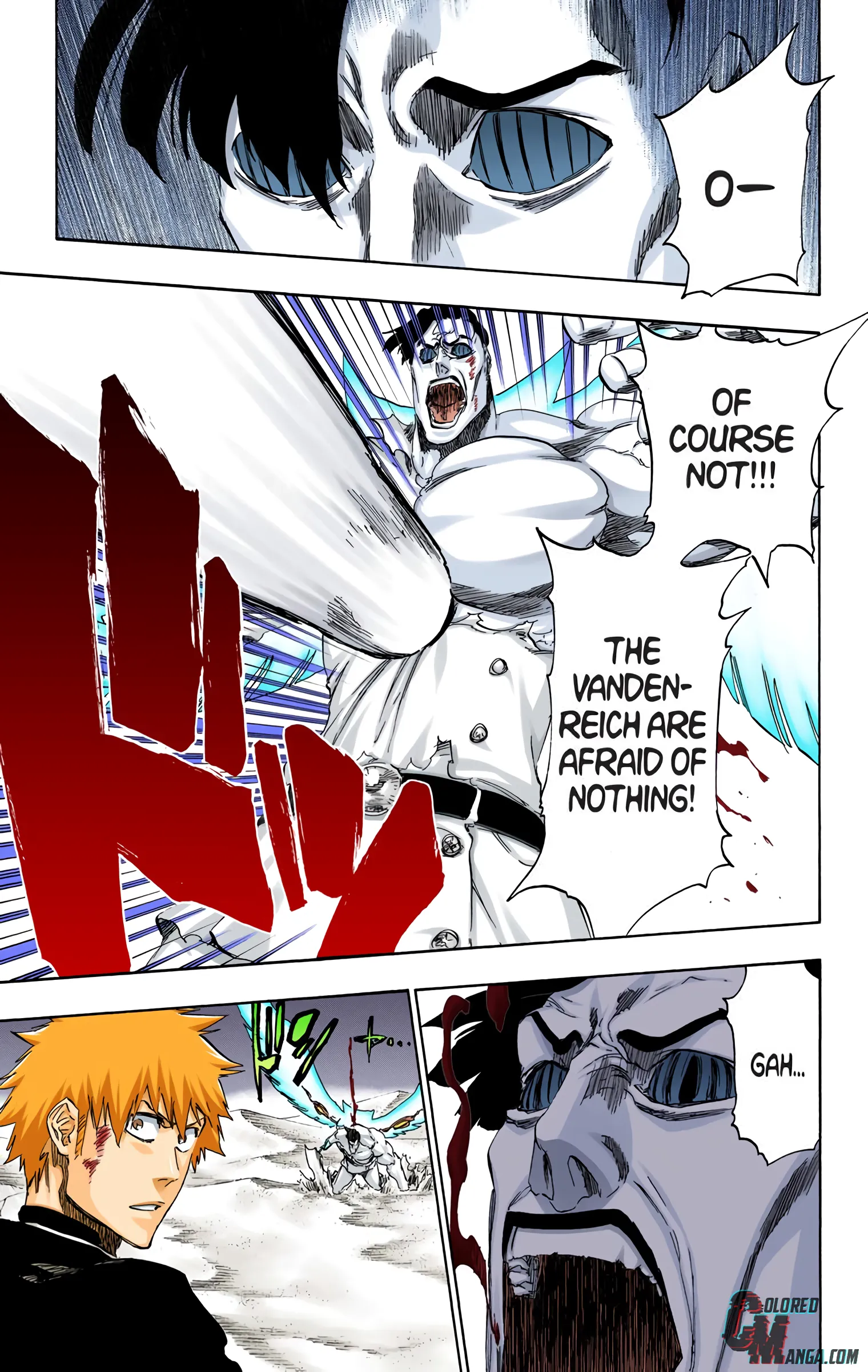 Read Bleach (Colored) EN Manga Online