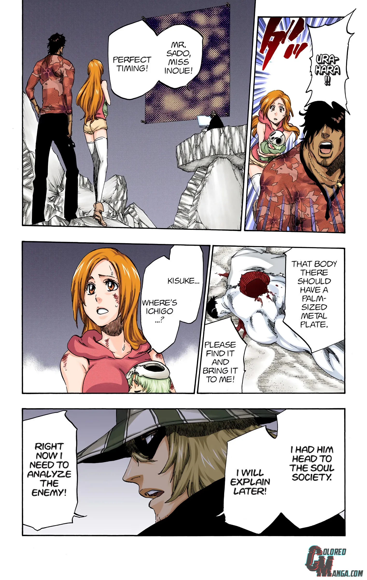 Read Bleach (Colored) EN Manga Online