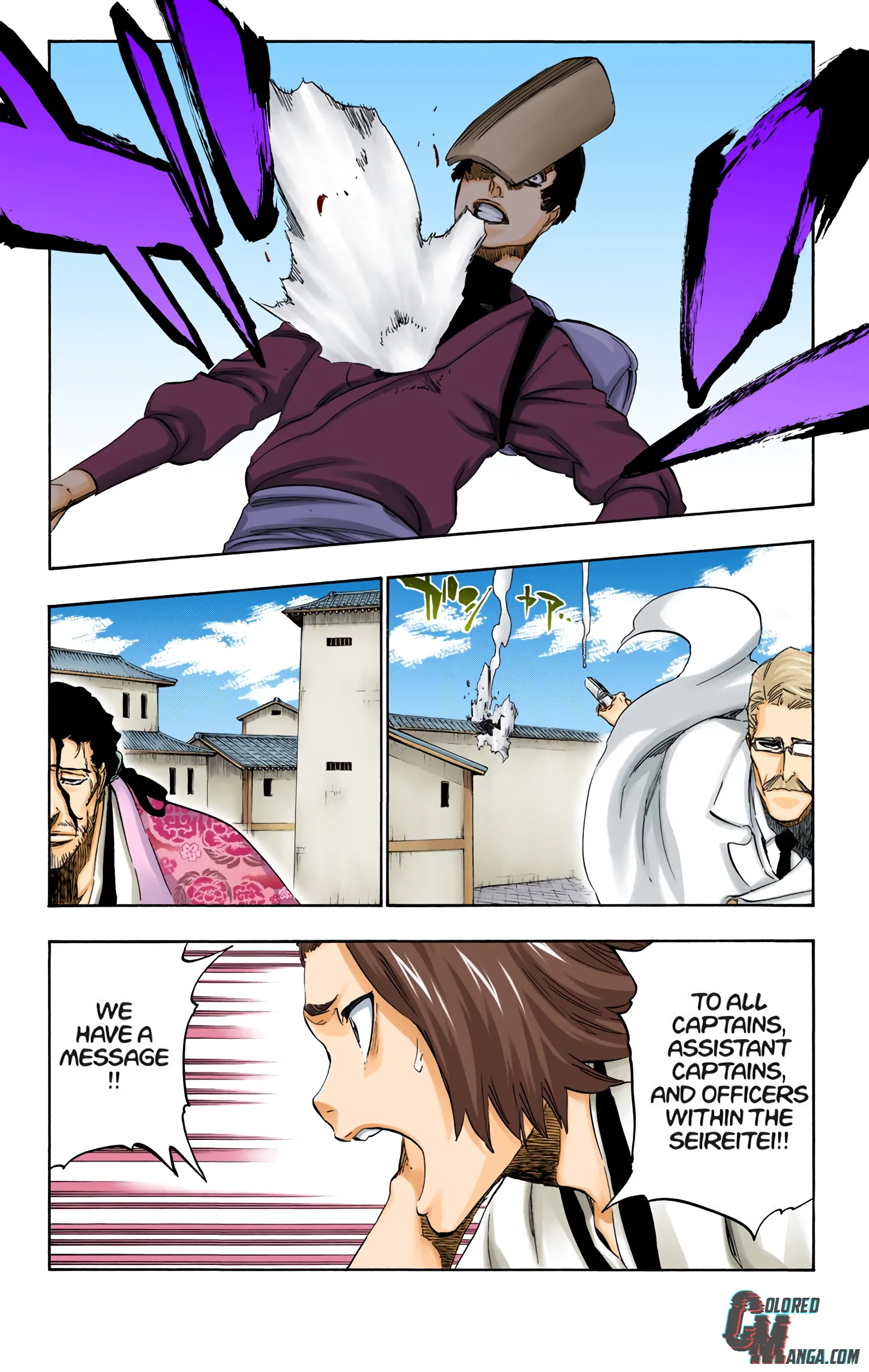 Read Bleach (Colored) EN Manga Online