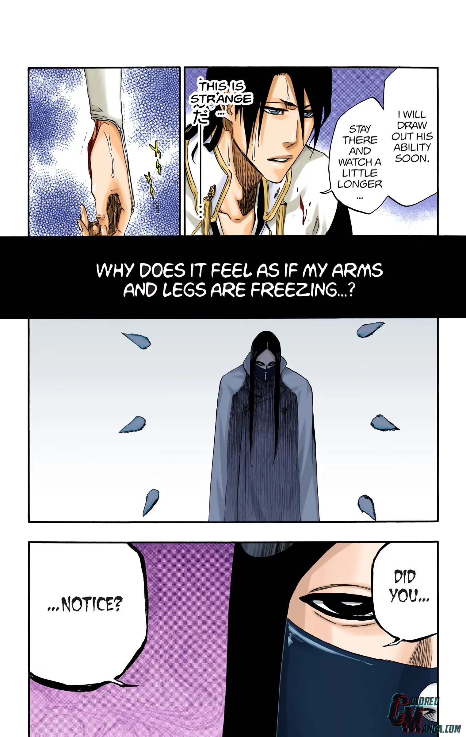 Read Bleach (Colored) EN Manga Online