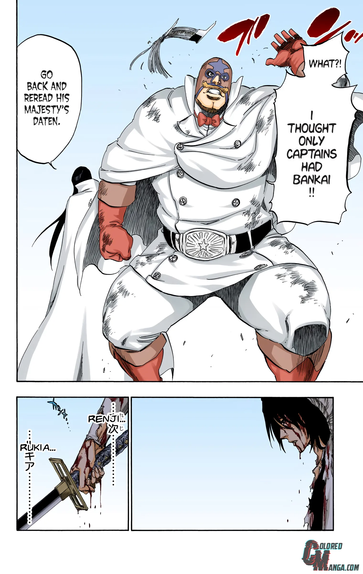 Read Bleach (Colored) EN Manga Online