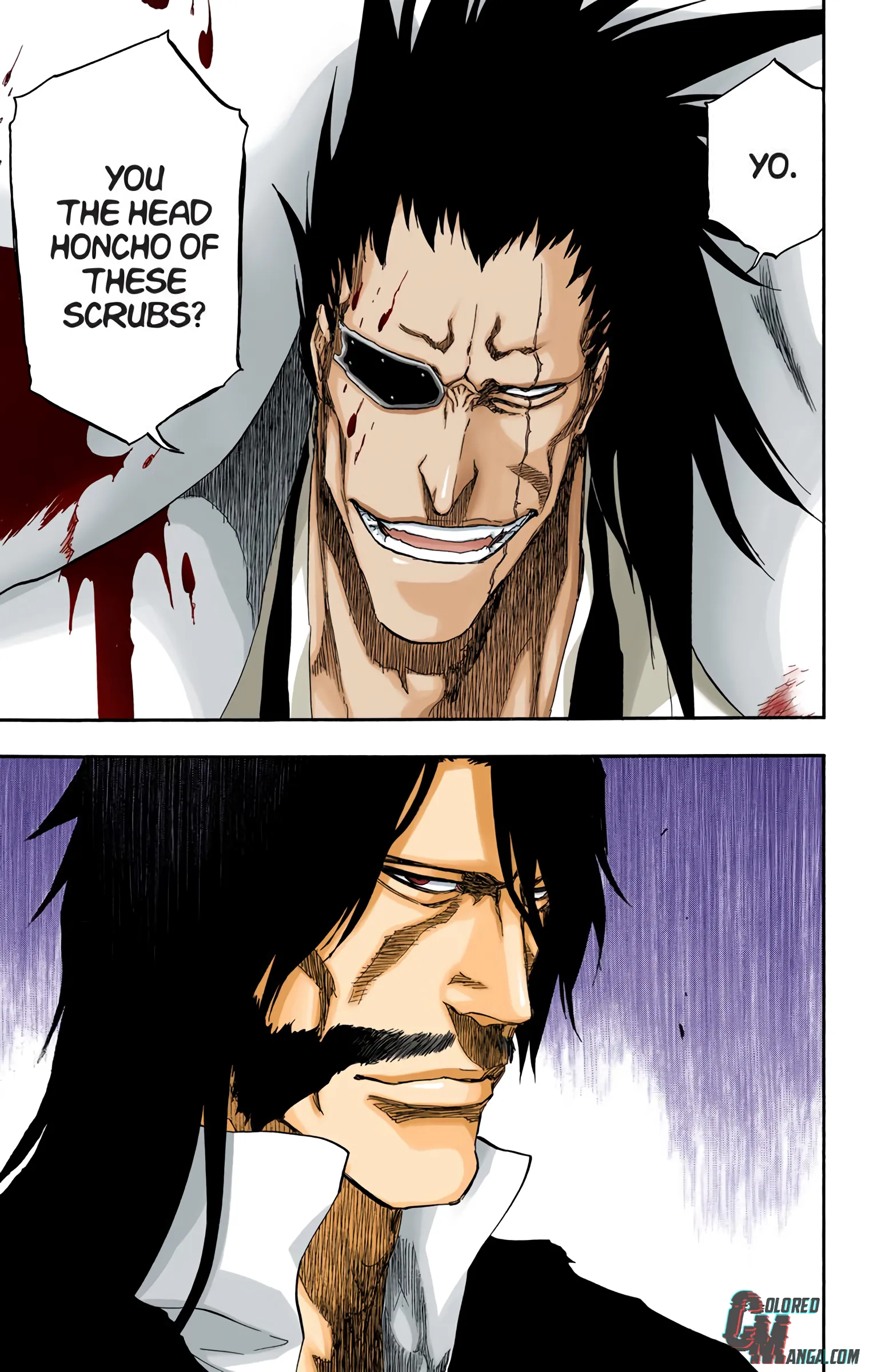 Read Bleach (Colored) EN Manga Online