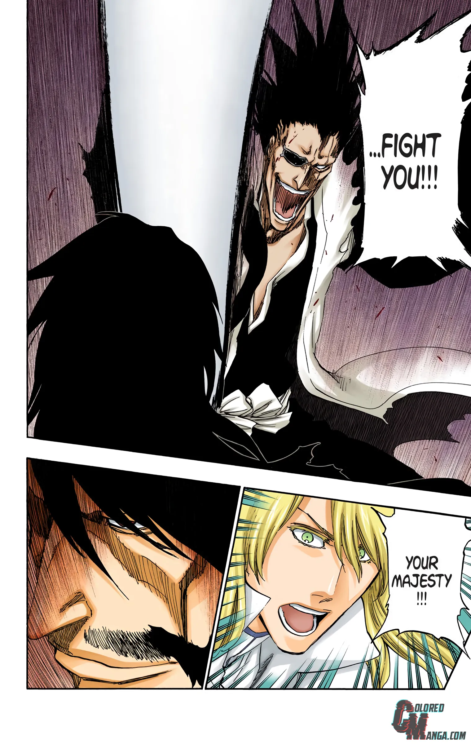 Read Bleach (Colored) EN Manga Online