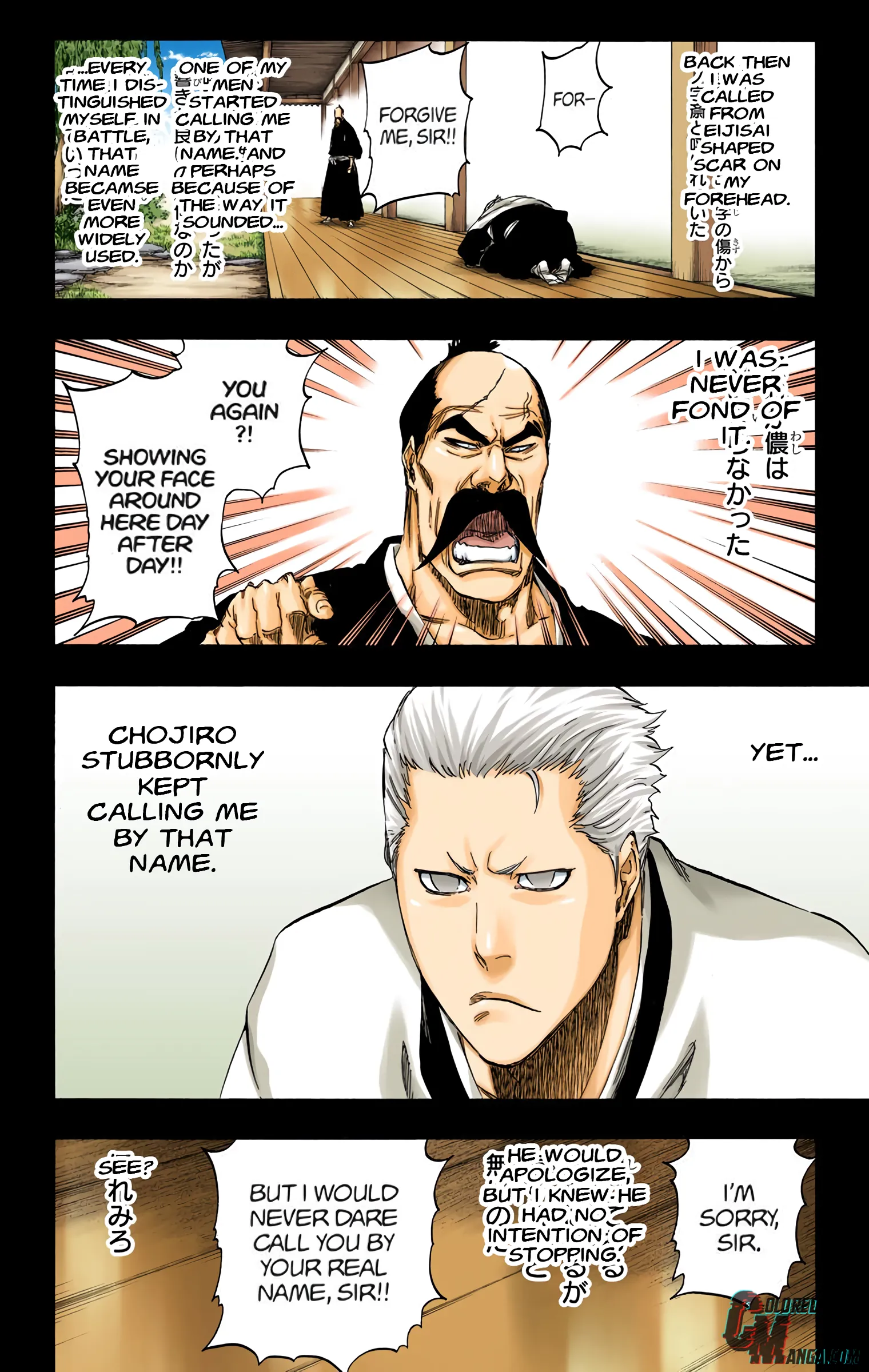Read Bleach (Colored) EN Manga Online