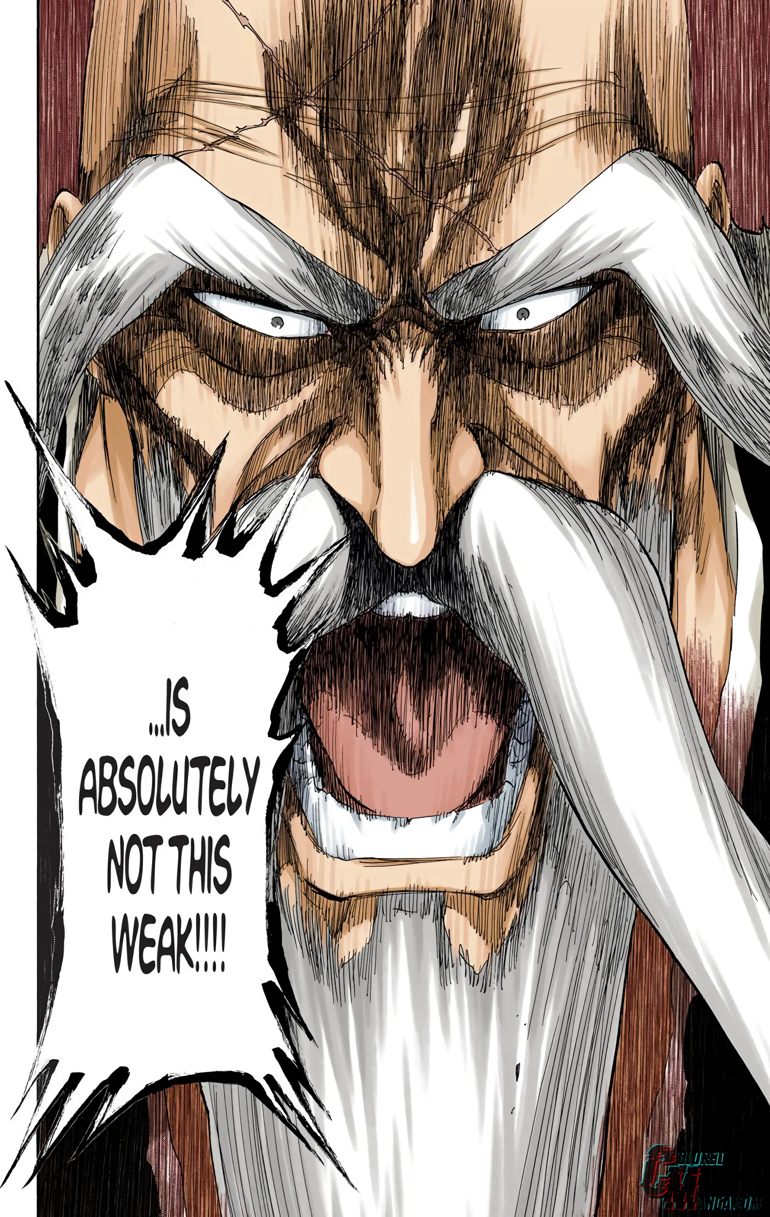 Read Bleach (Colored) EN Manga Online