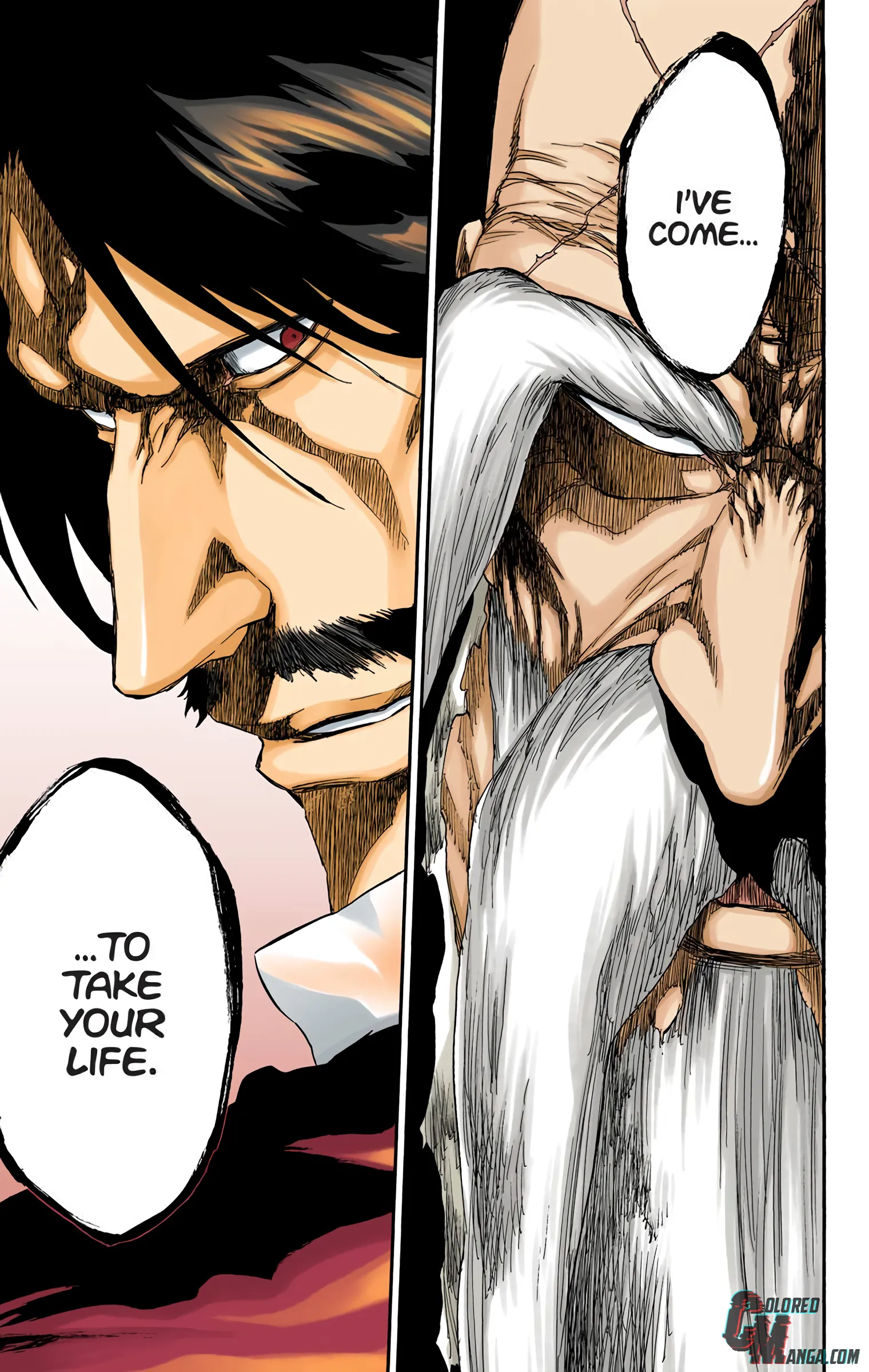 Read Bleach (Colored) EN Manga Online