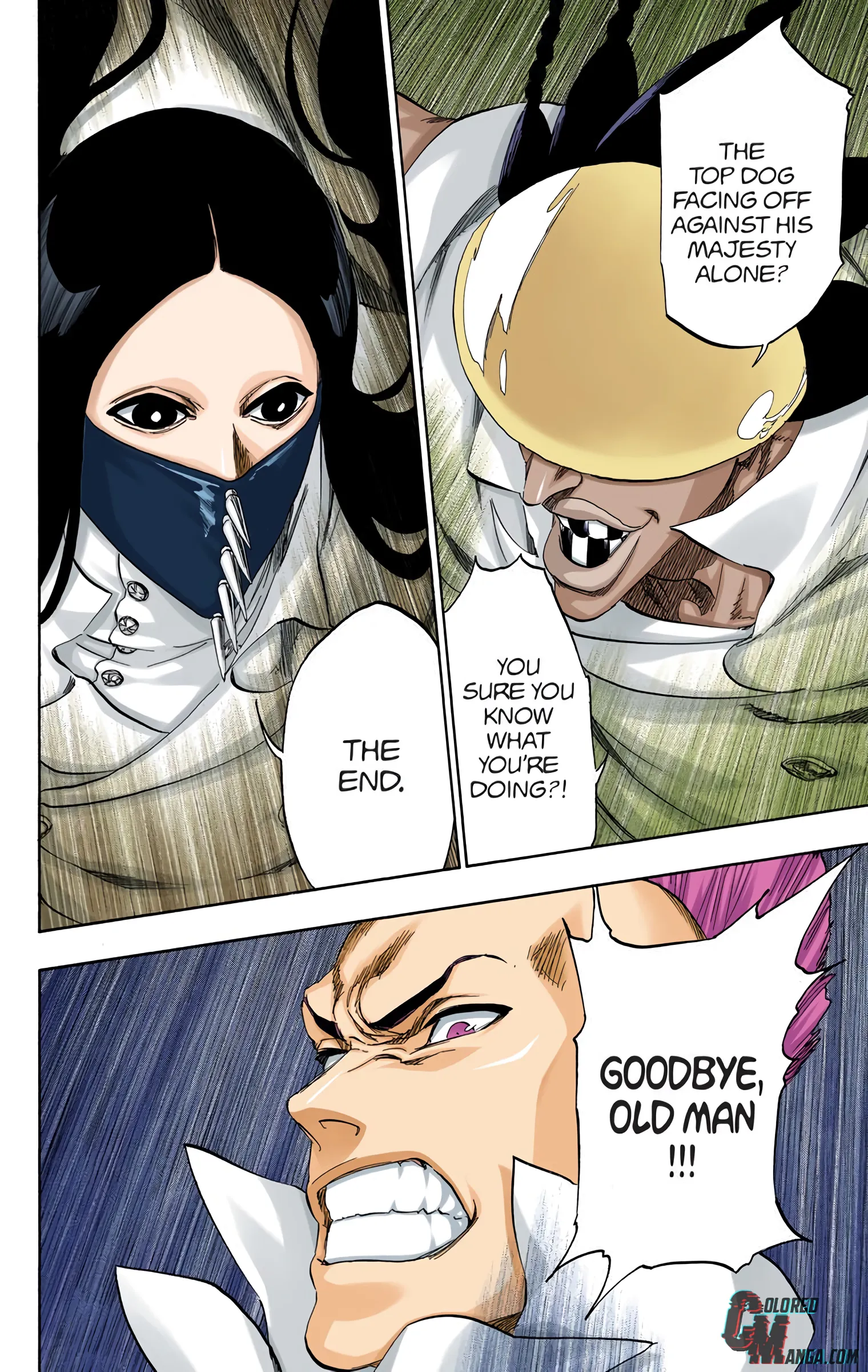 Read Bleach (Colored) EN Manga Online