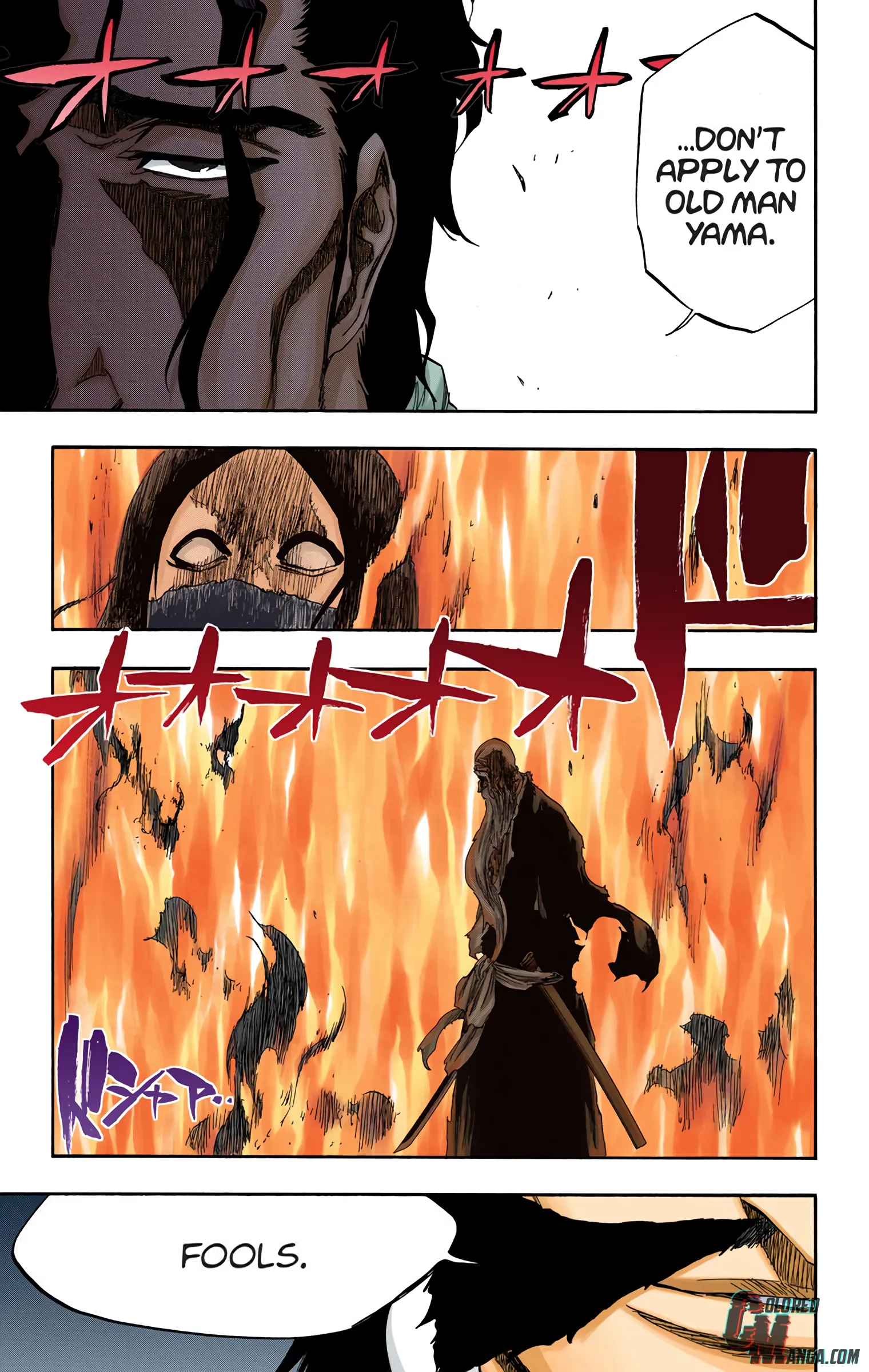 Read Bleach (Colored) EN Manga Online