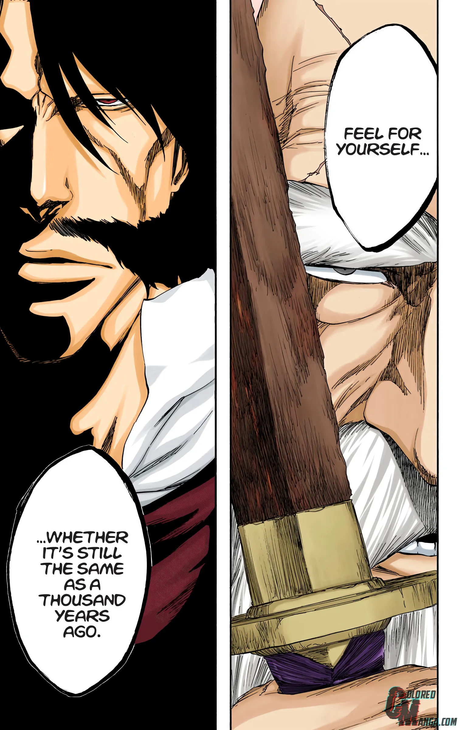 Read Bleach (Colored) EN Manga Online