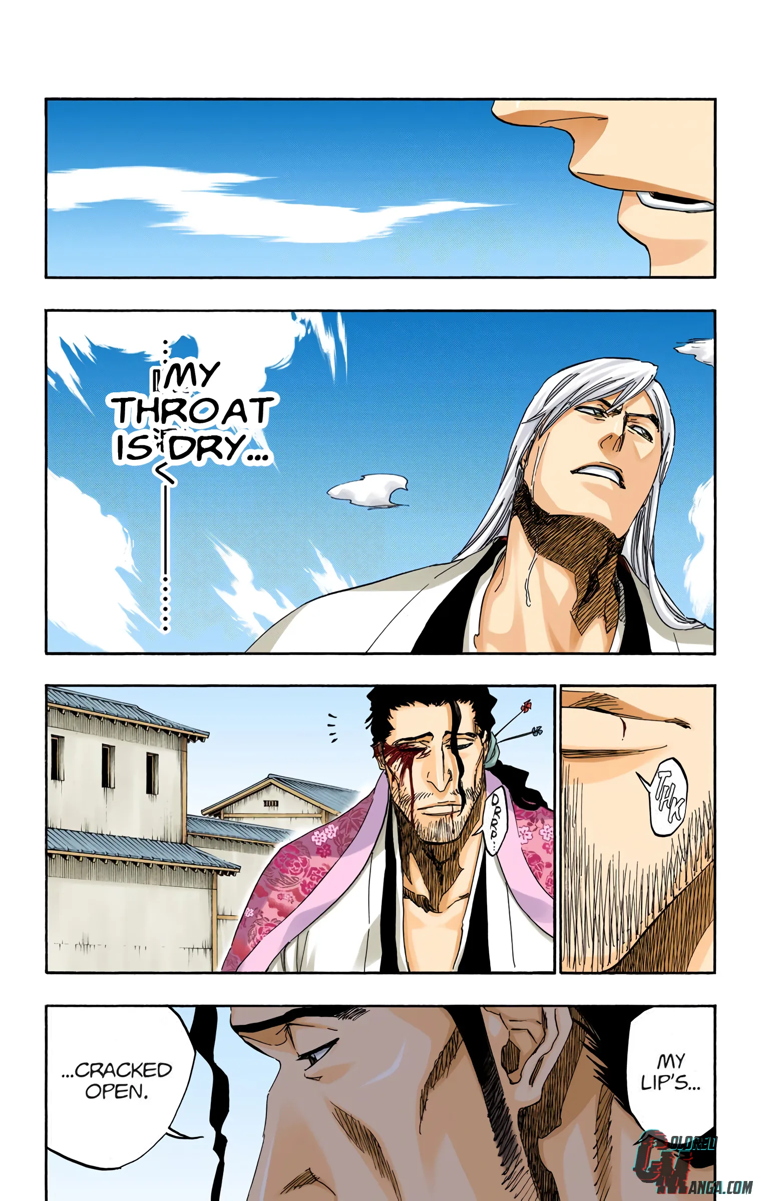 Read Bleach (Colored) EN Manga Online