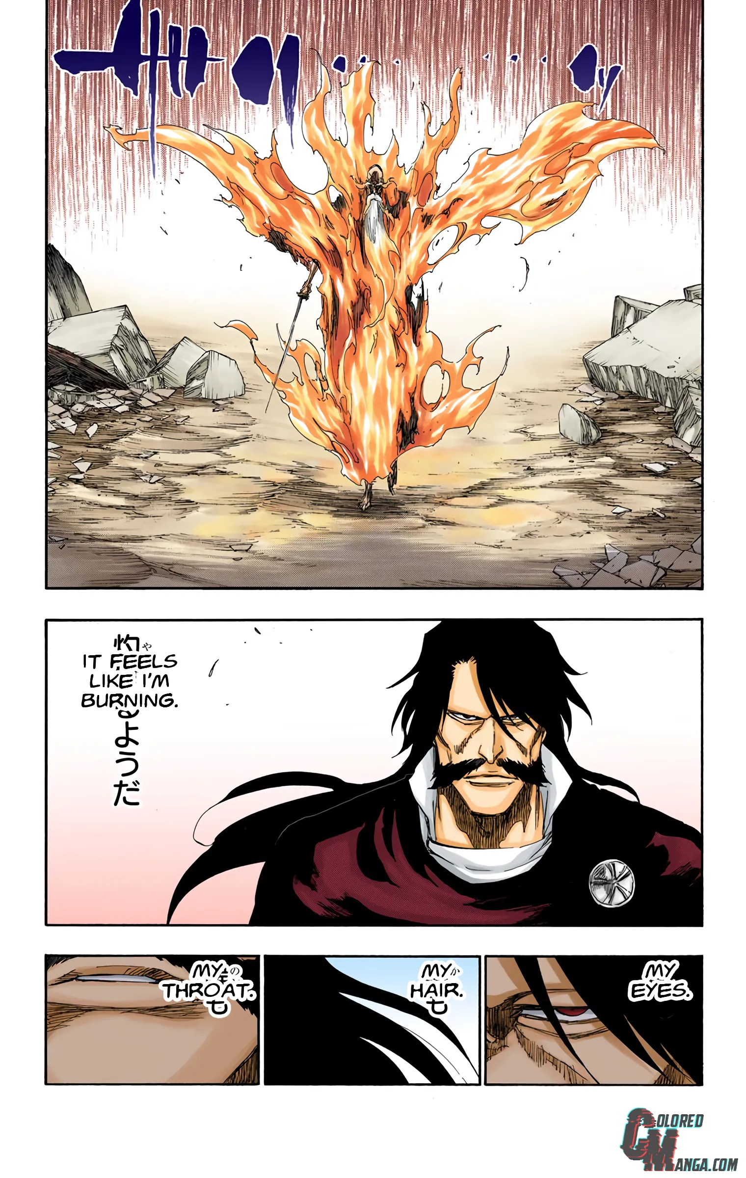 Read Bleach (Colored) EN Manga Online