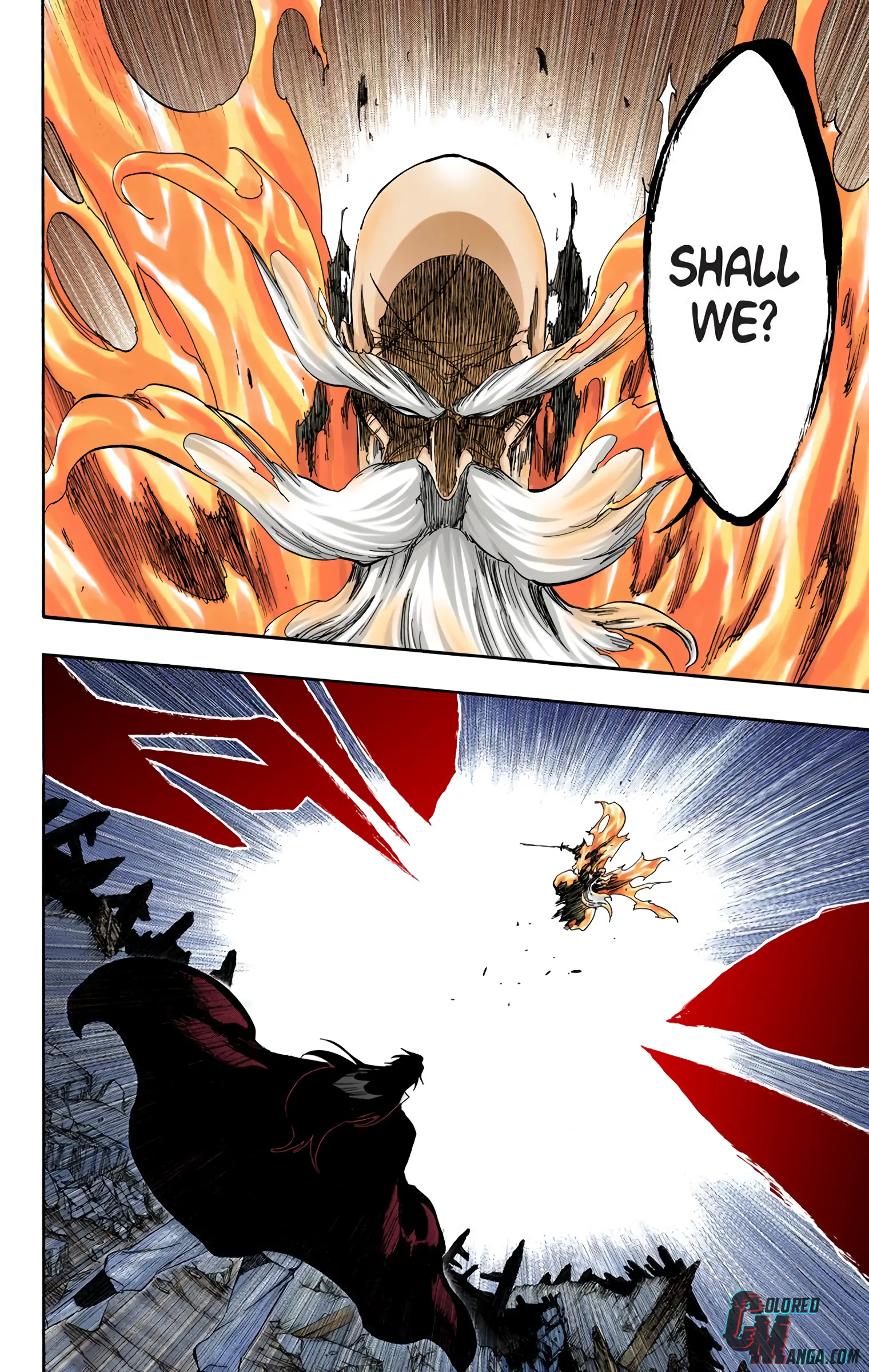 Read Bleach (Colored) EN Manga Online