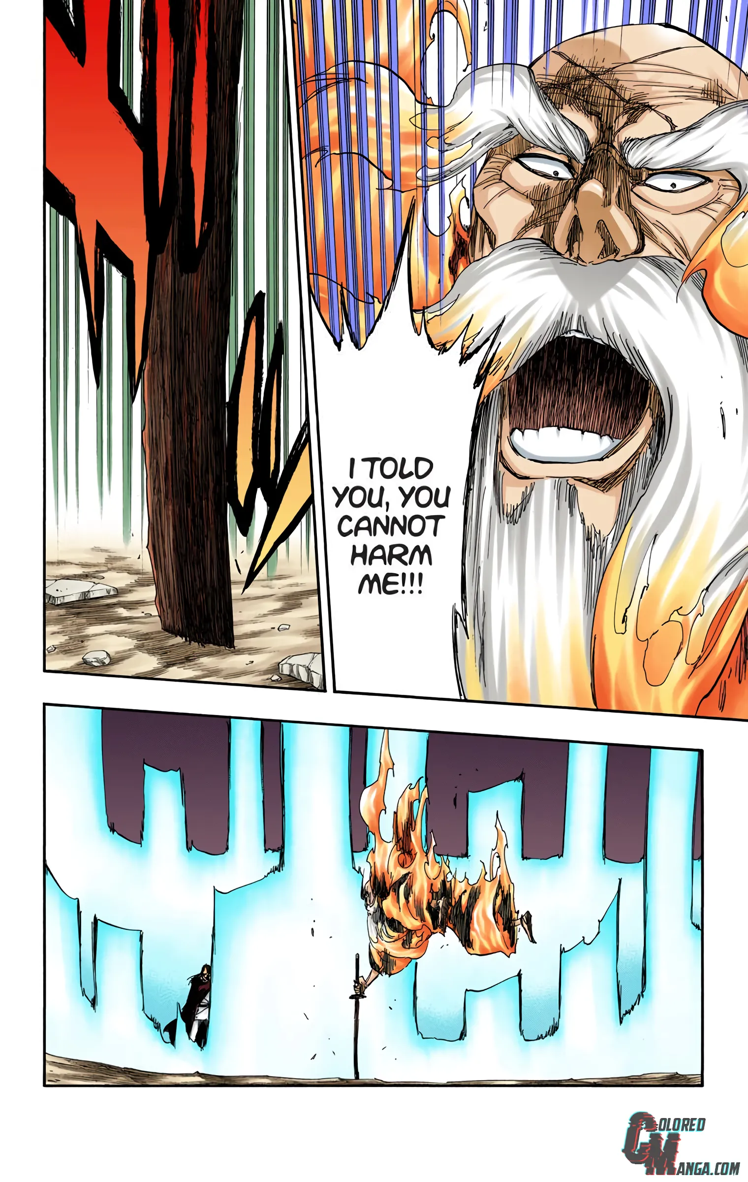 Read Bleach (Colored) EN Manga Online