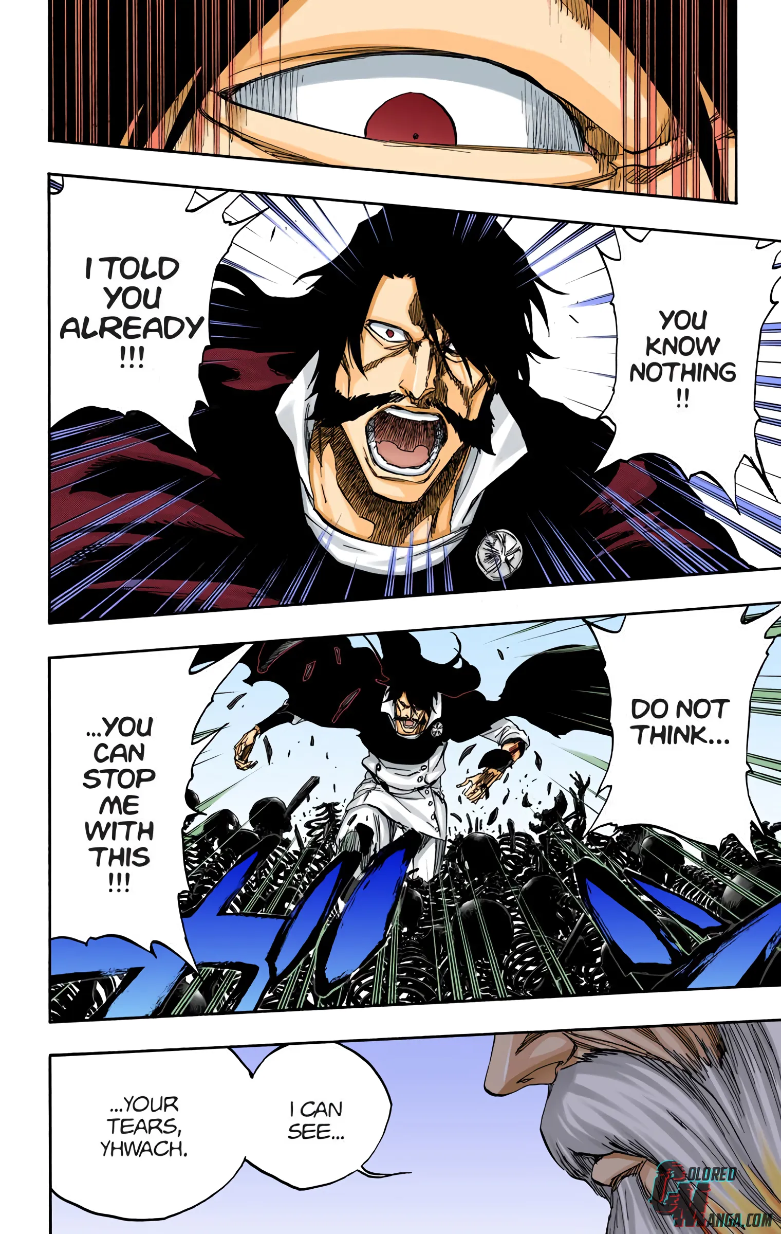 Read Bleach (Colored) EN Manga Online