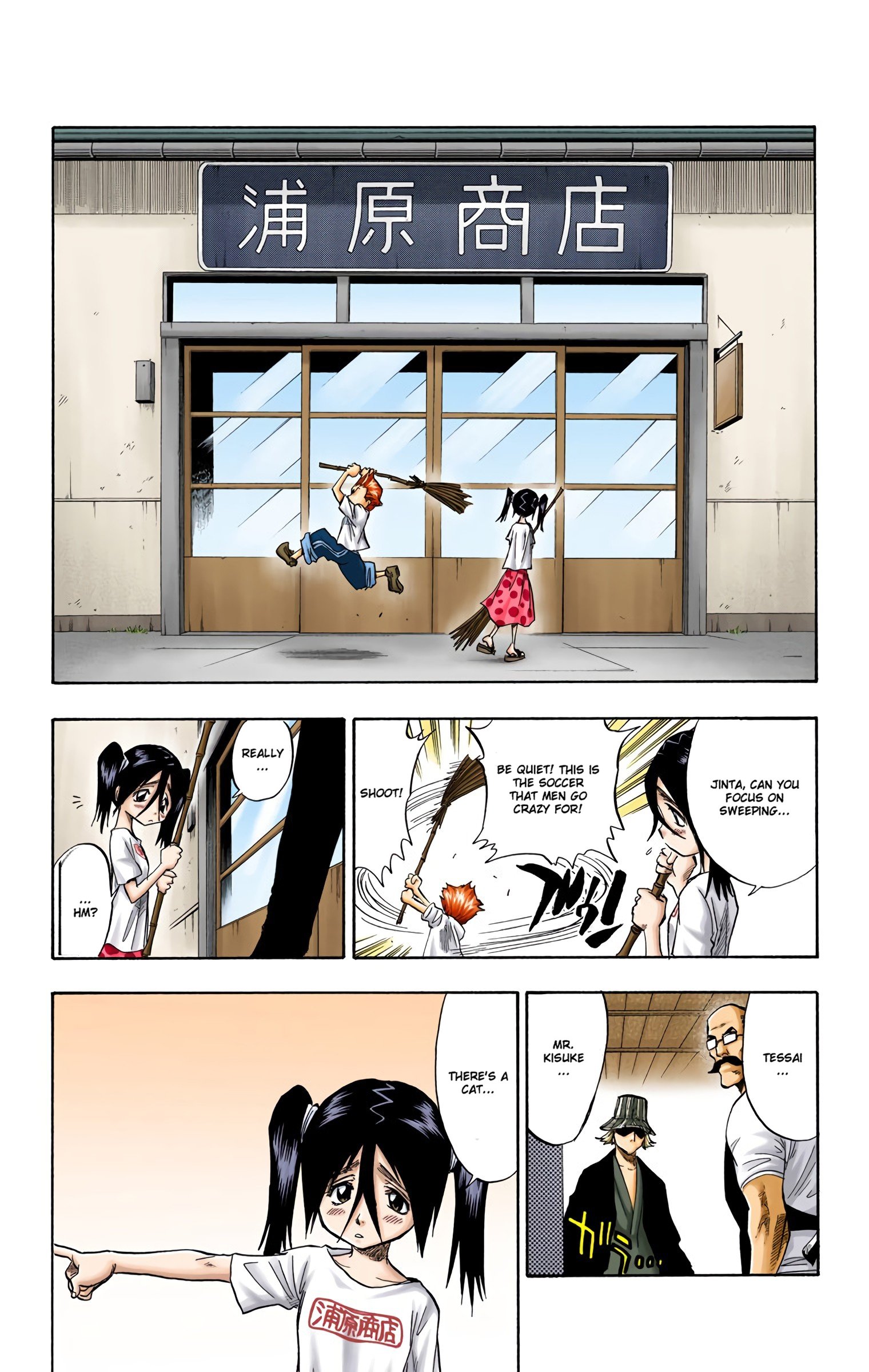 Read Bleach (Colored) EN Manga Online