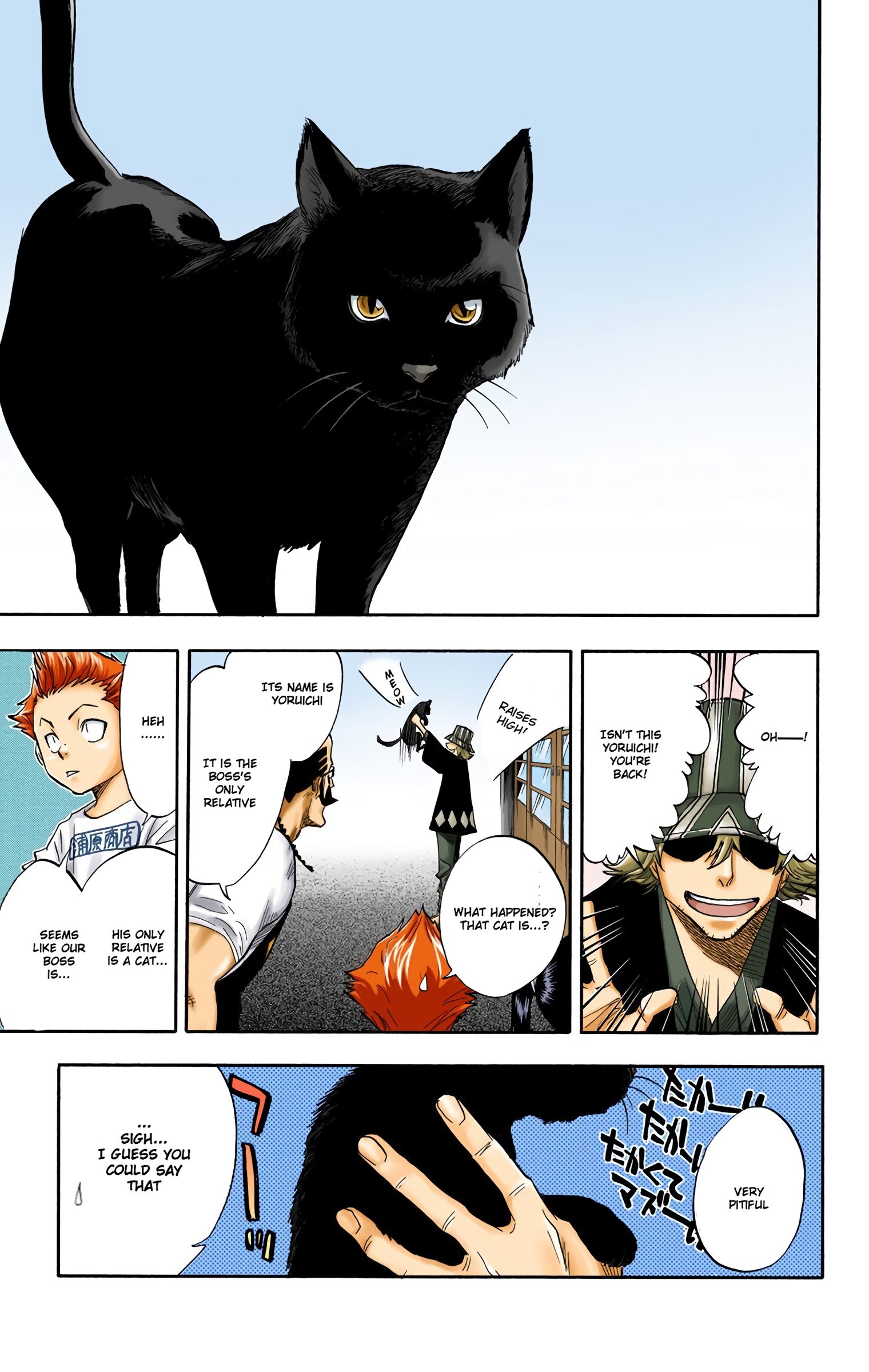 Read Bleach (Colored) EN Manga Online