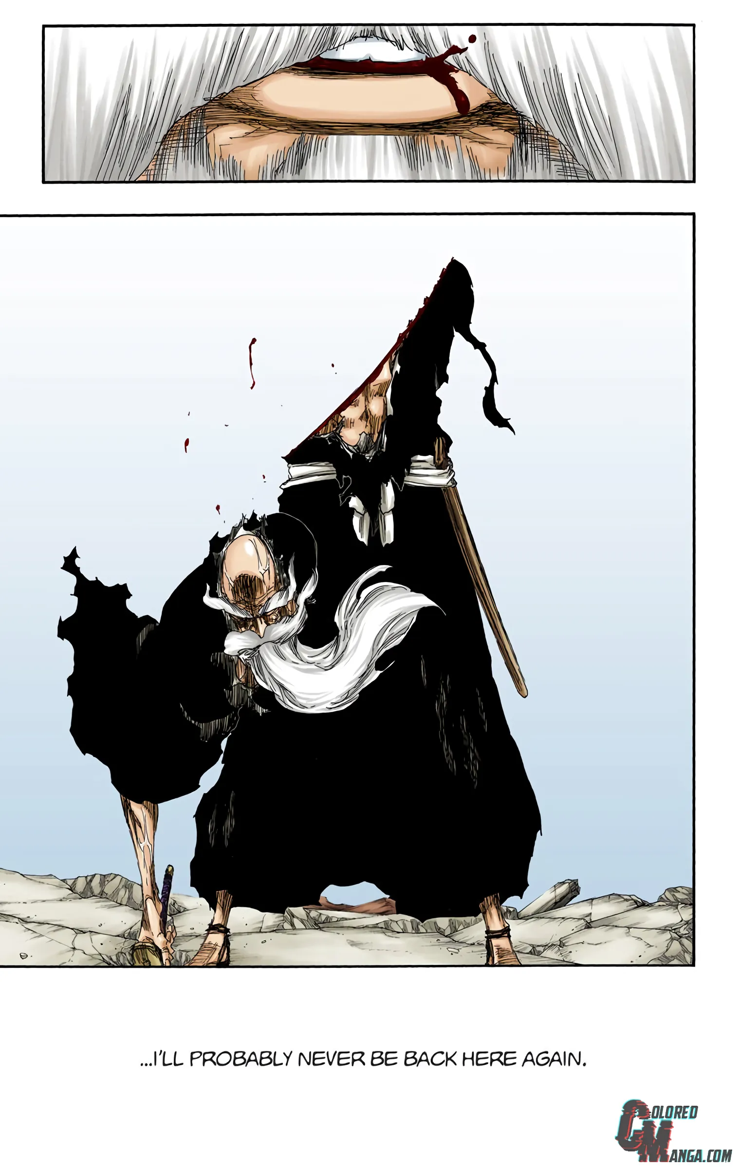 Read Bleach (Colored) EN Manga Online
