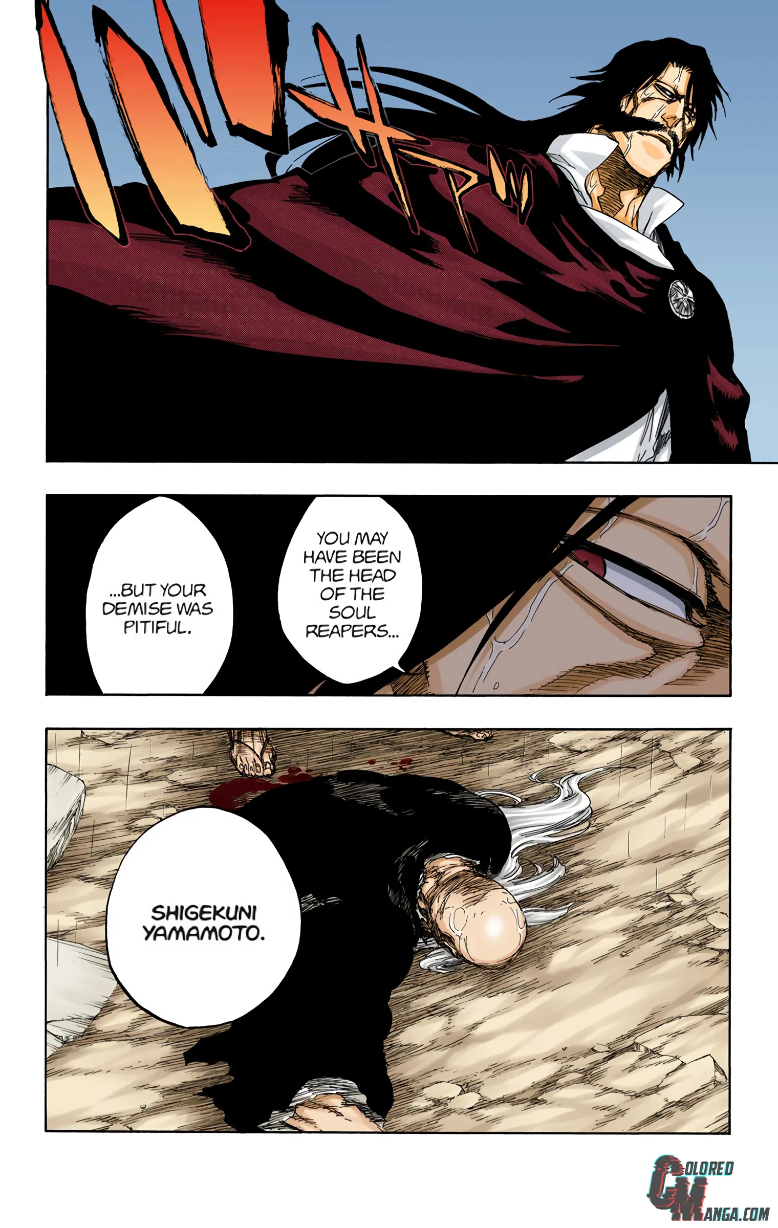 Read Bleach (Colored) EN Manga Online