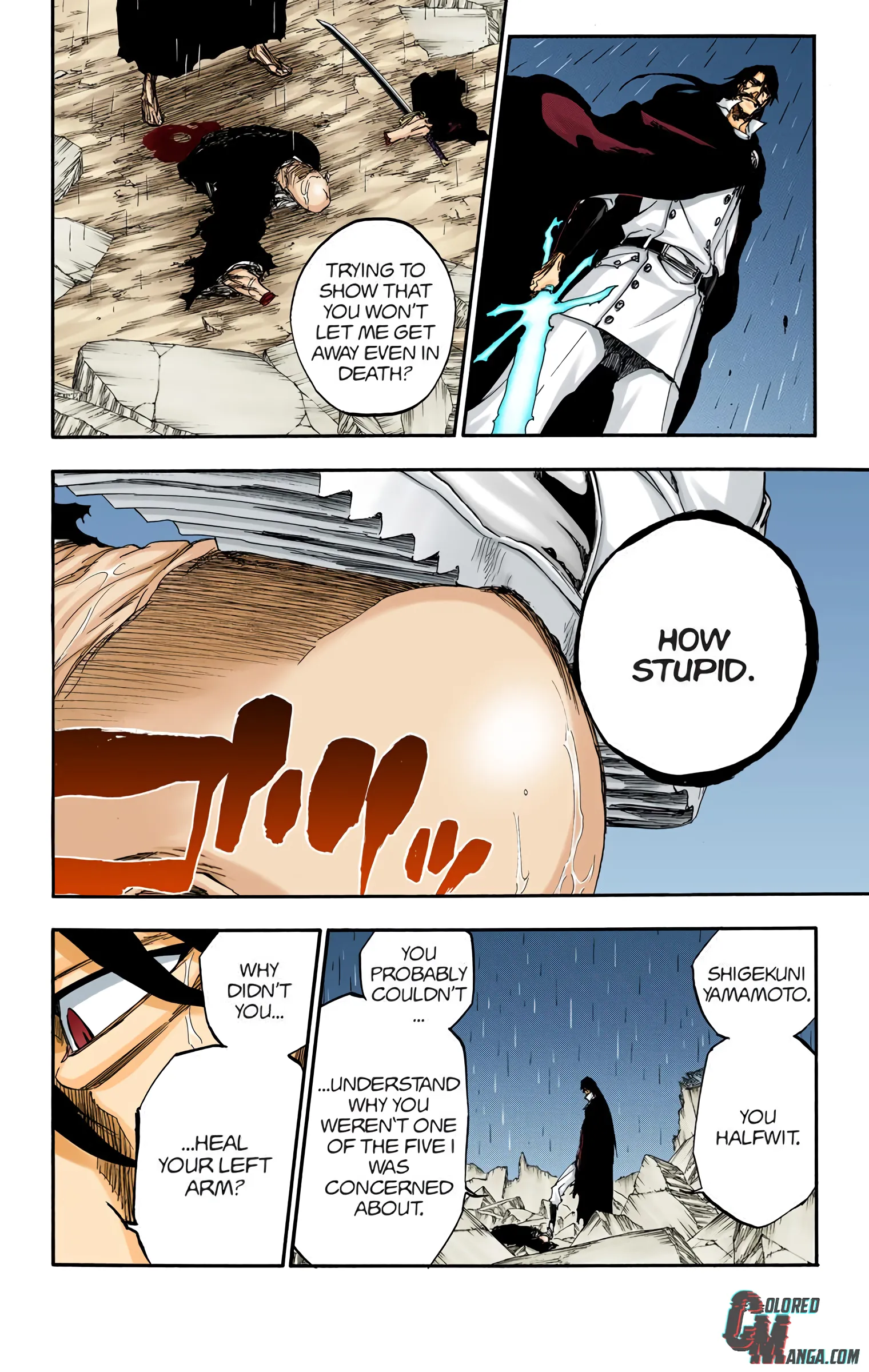 Read Bleach (Colored) EN Manga Online