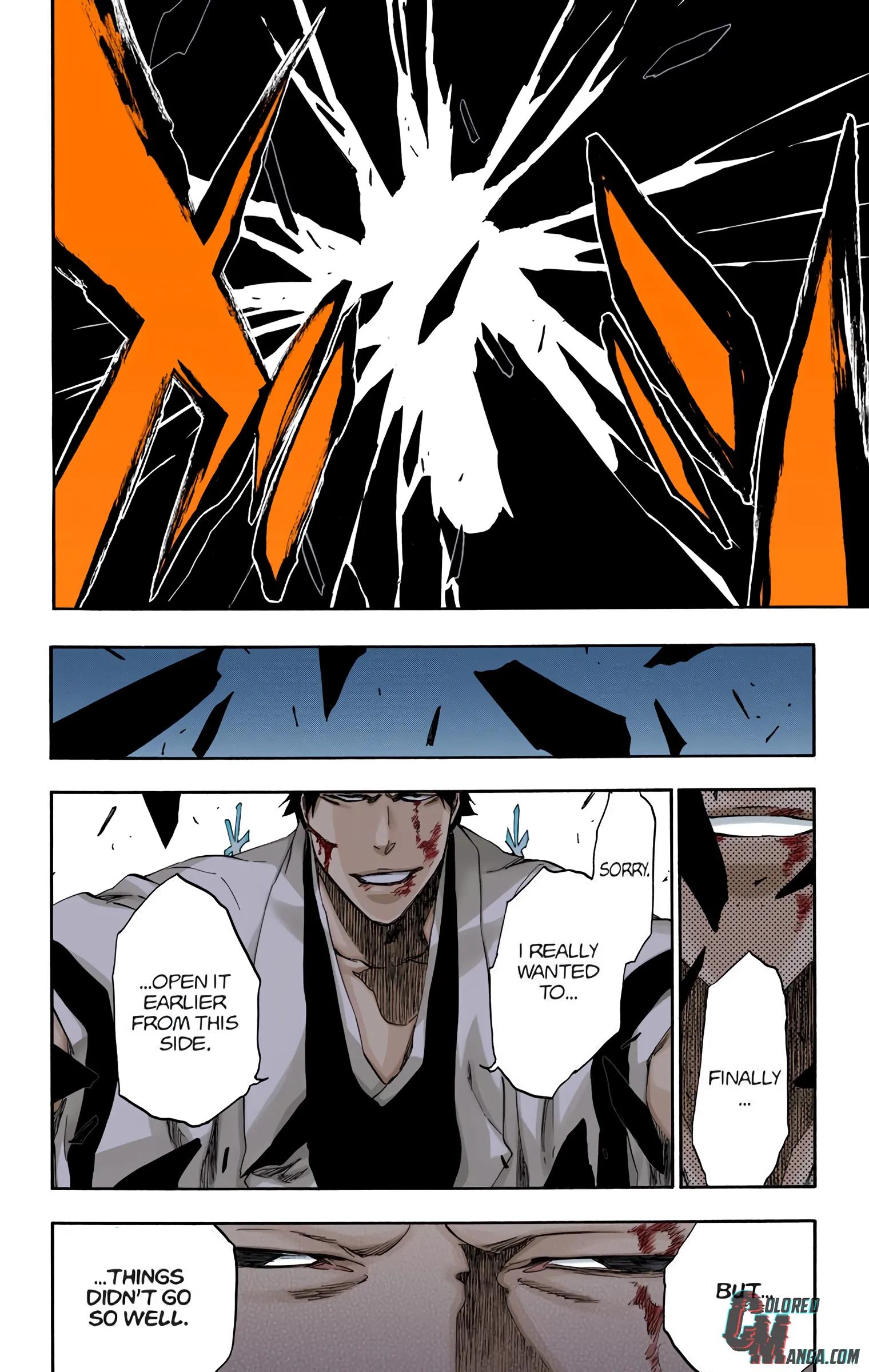 Read Bleach (Colored) EN Manga Online