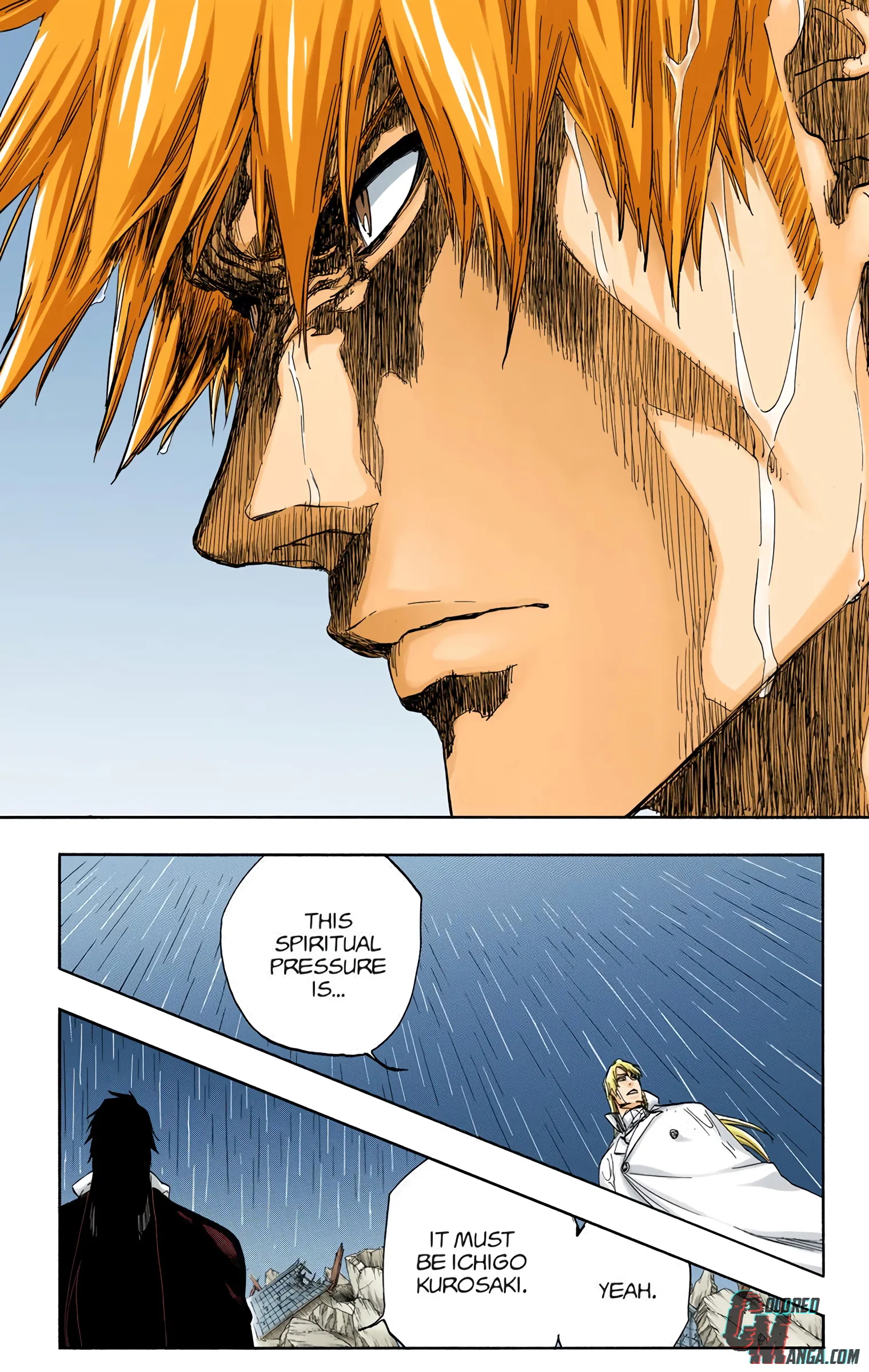 Read Bleach (Colored) EN Manga Online