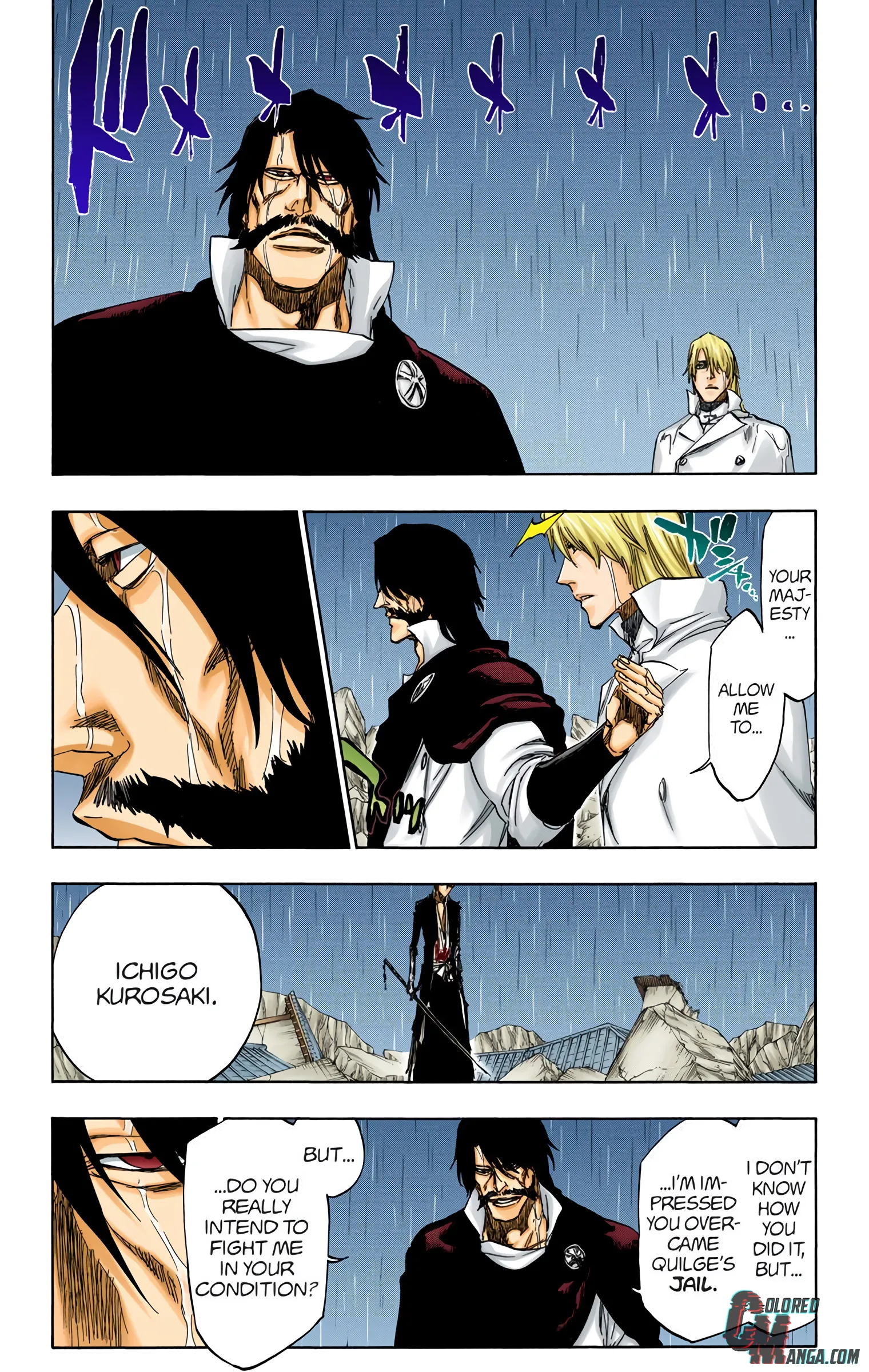 Read Bleach (Colored) EN Manga Online