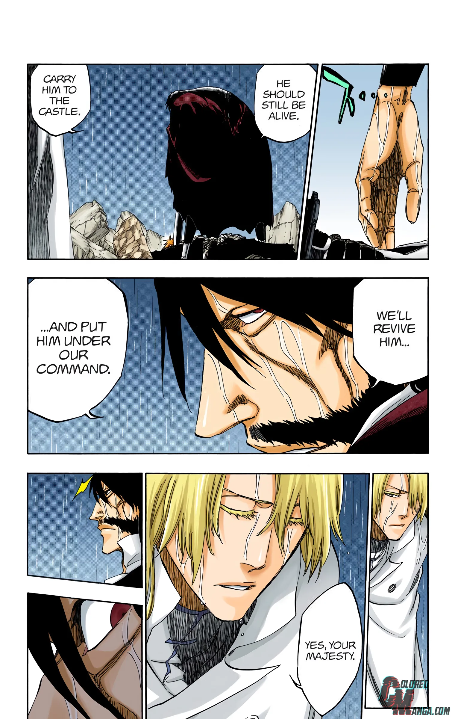 Read Bleach (Colored) EN Manga Online