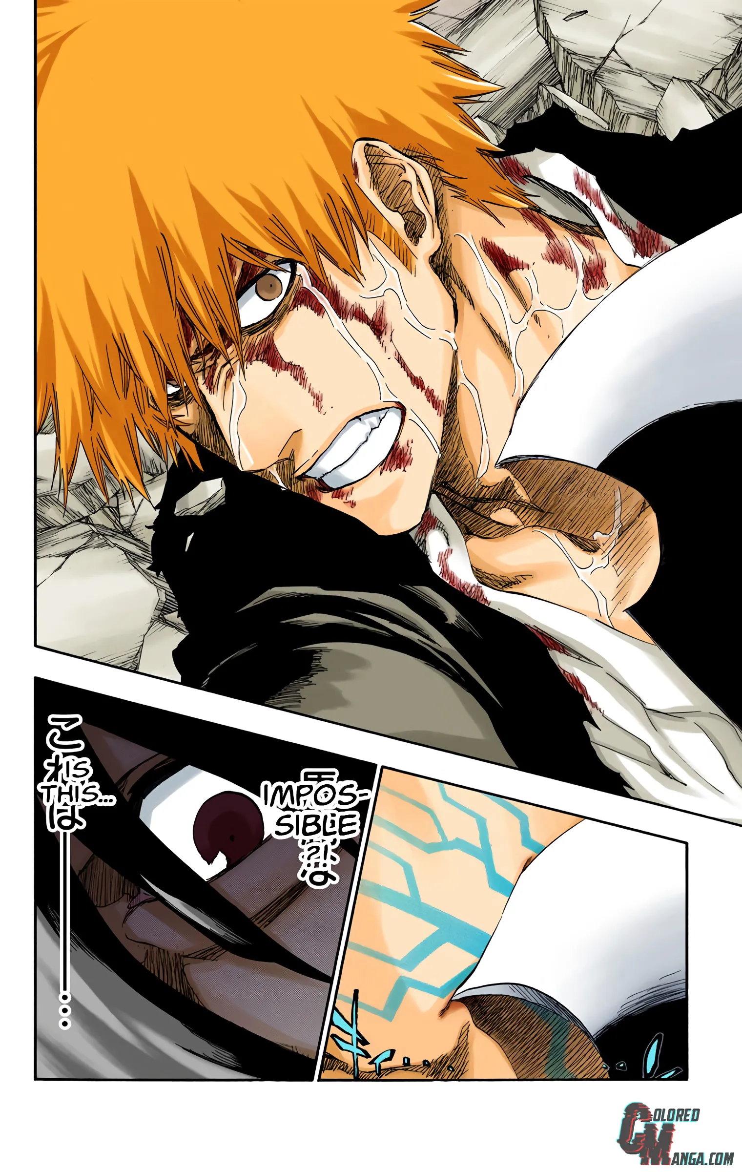 Read Bleach (Colored) EN Manga Online