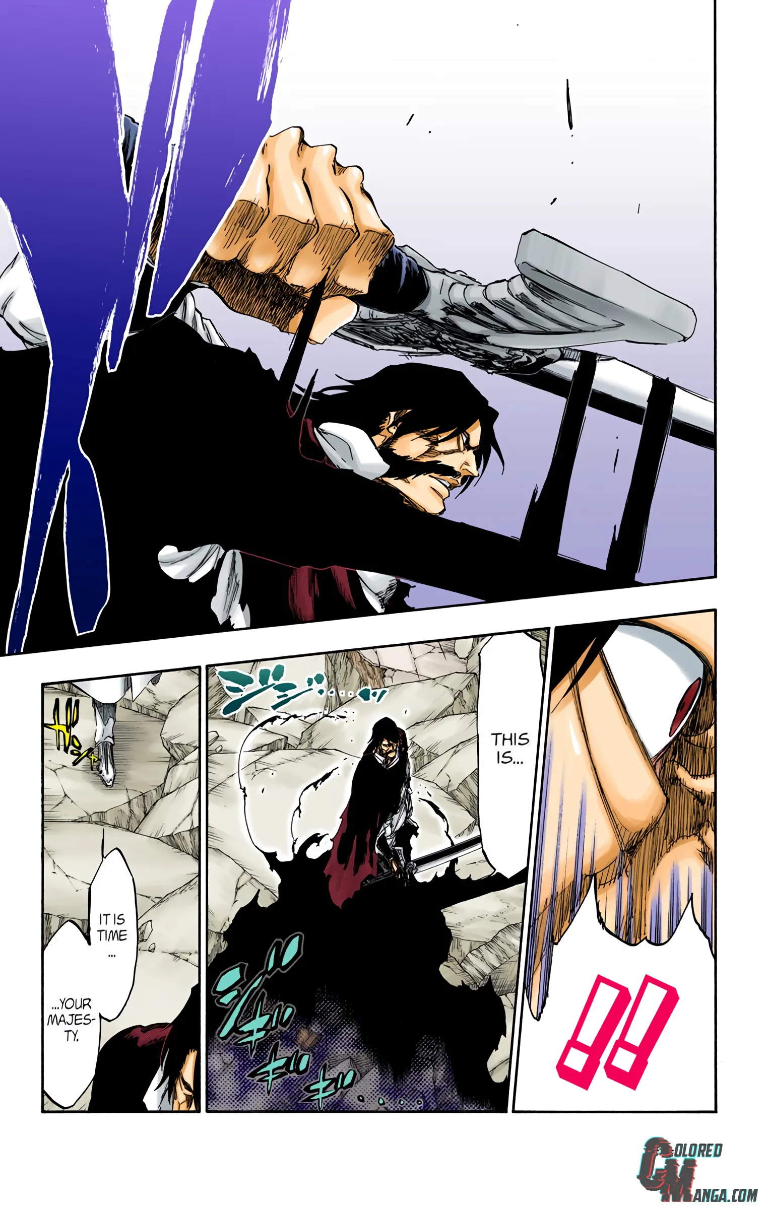 Read Bleach (Colored) EN Manga Online