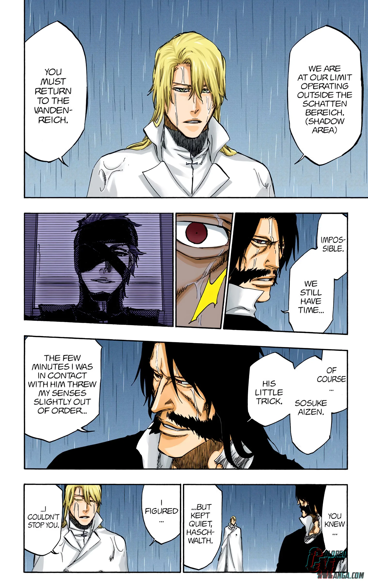 Read Bleach (Colored) EN Manga Online