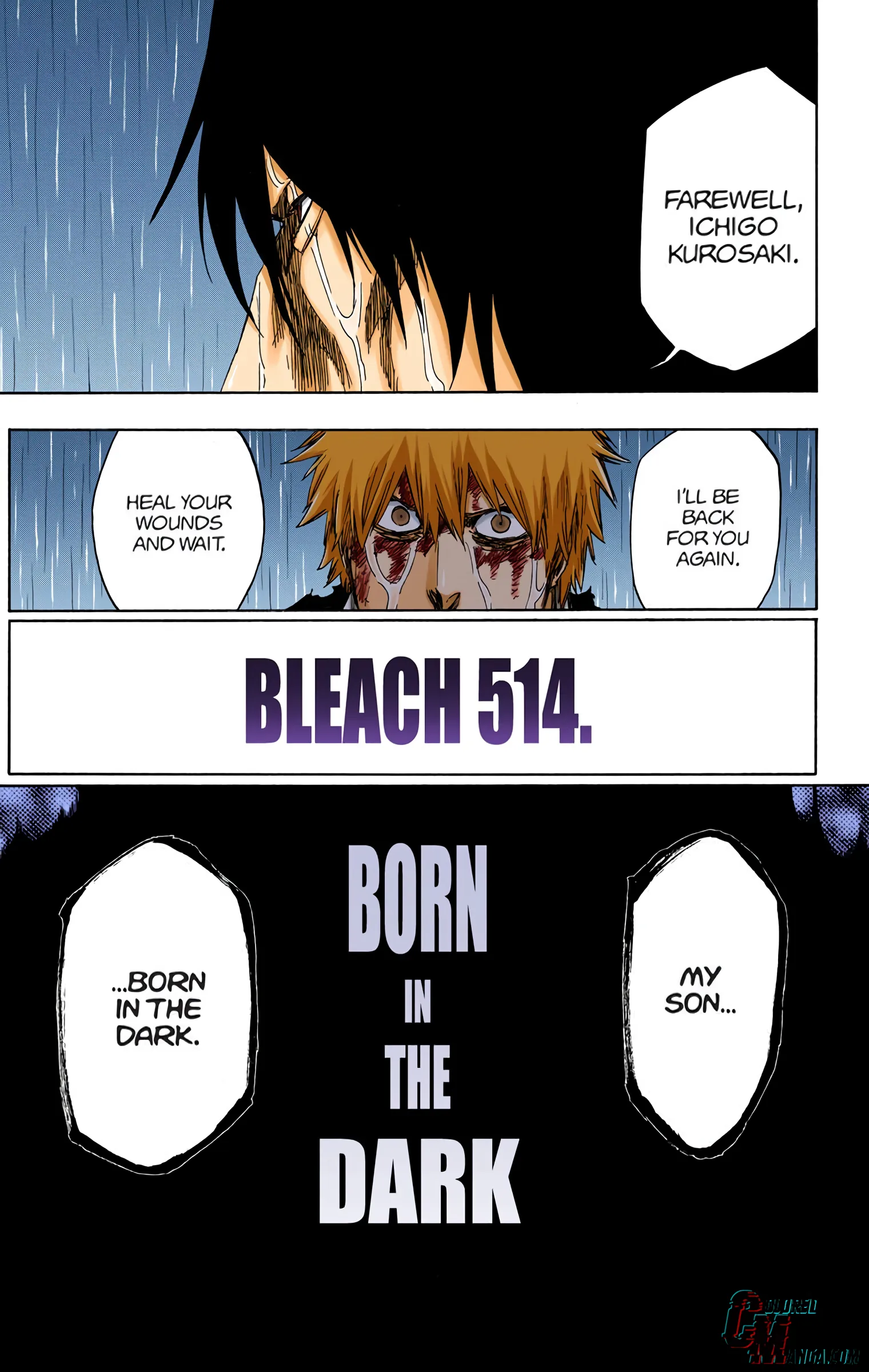 Read Bleach (Colored) EN Manga Online