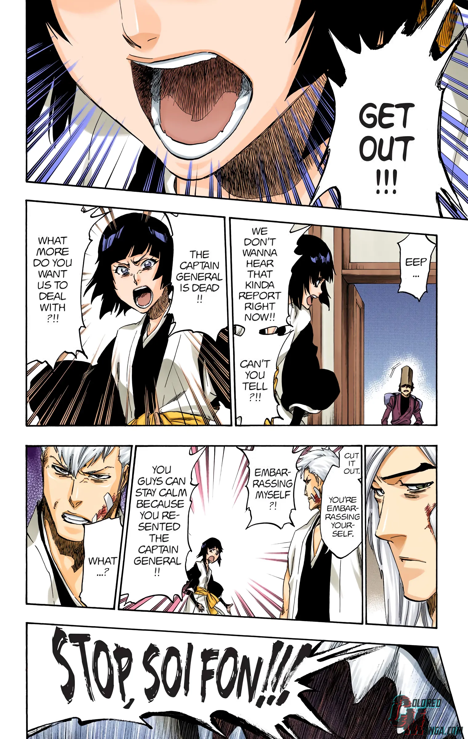 Read Bleach (Colored) EN Manga Online