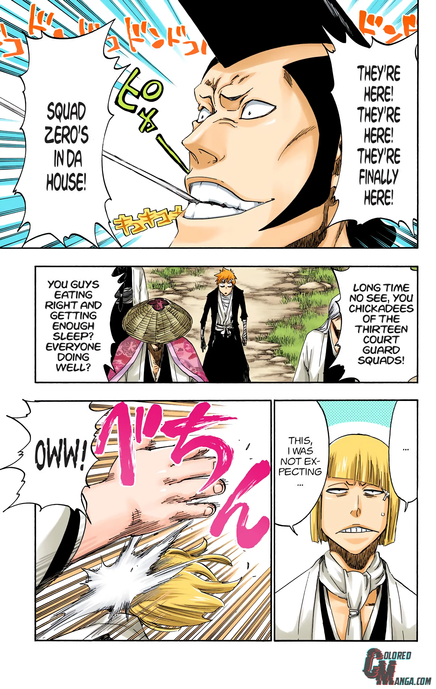 Read Bleach (Colored) EN Manga Online