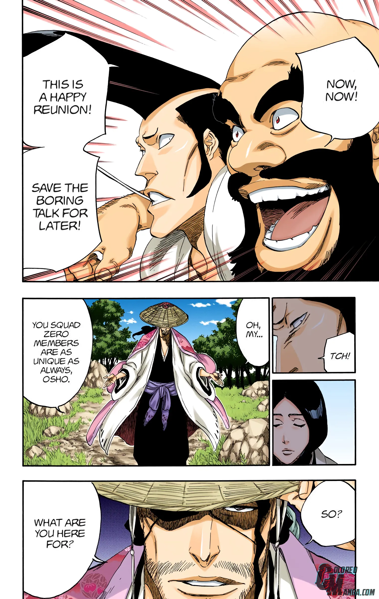 Read Bleach (Colored) EN Manga Online