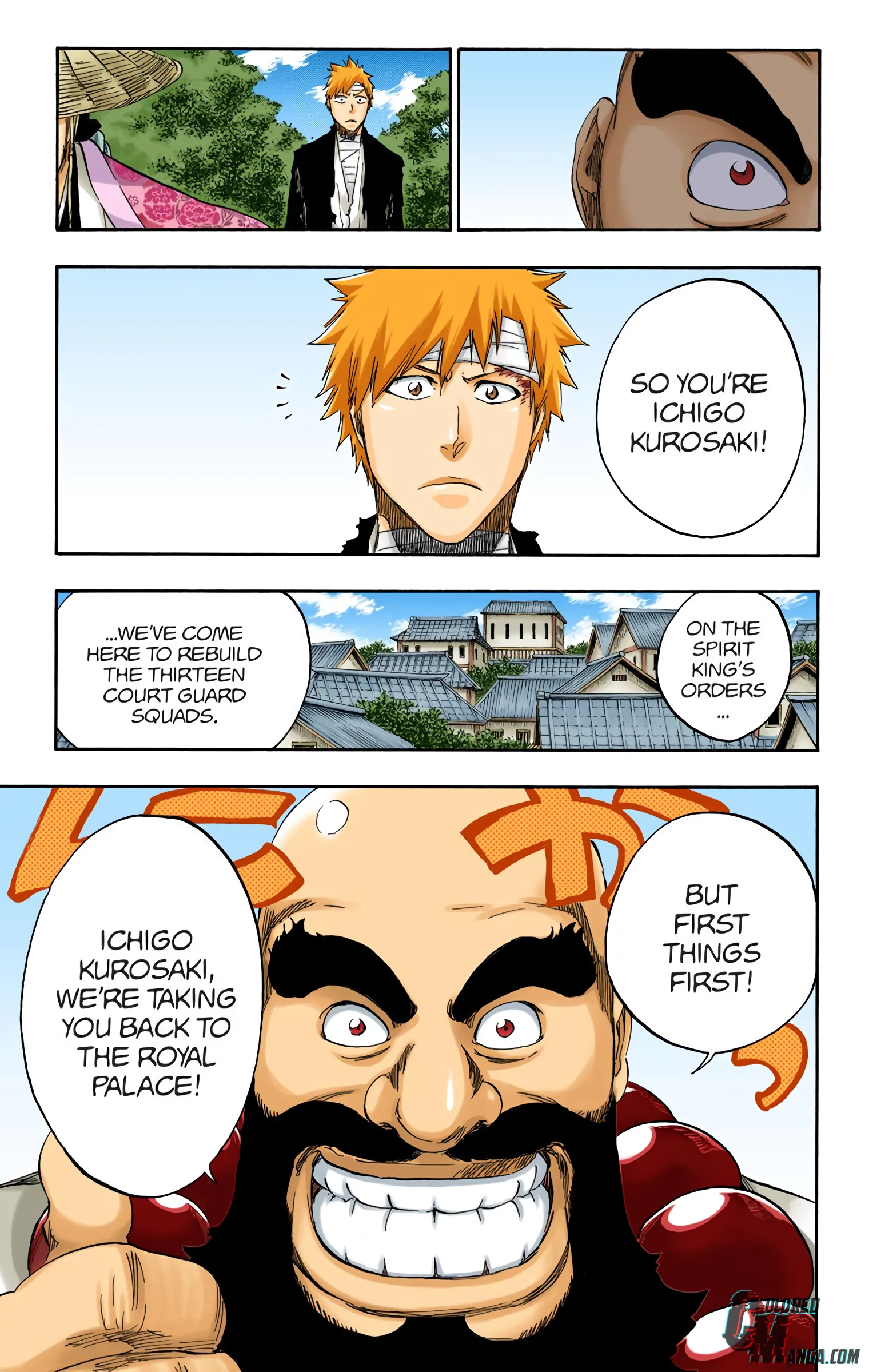 Read Bleach (Colored) EN Manga Online