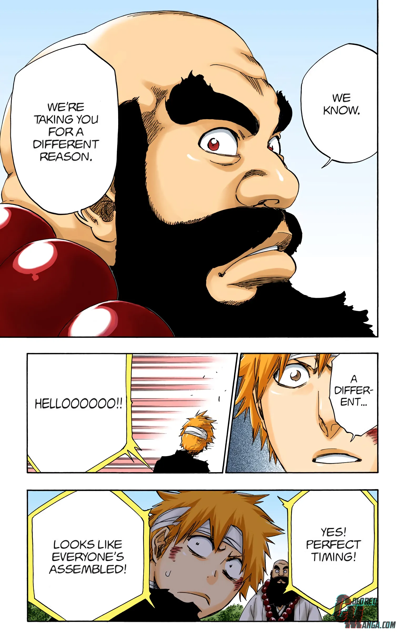 Read Bleach (Colored) EN Manga Online