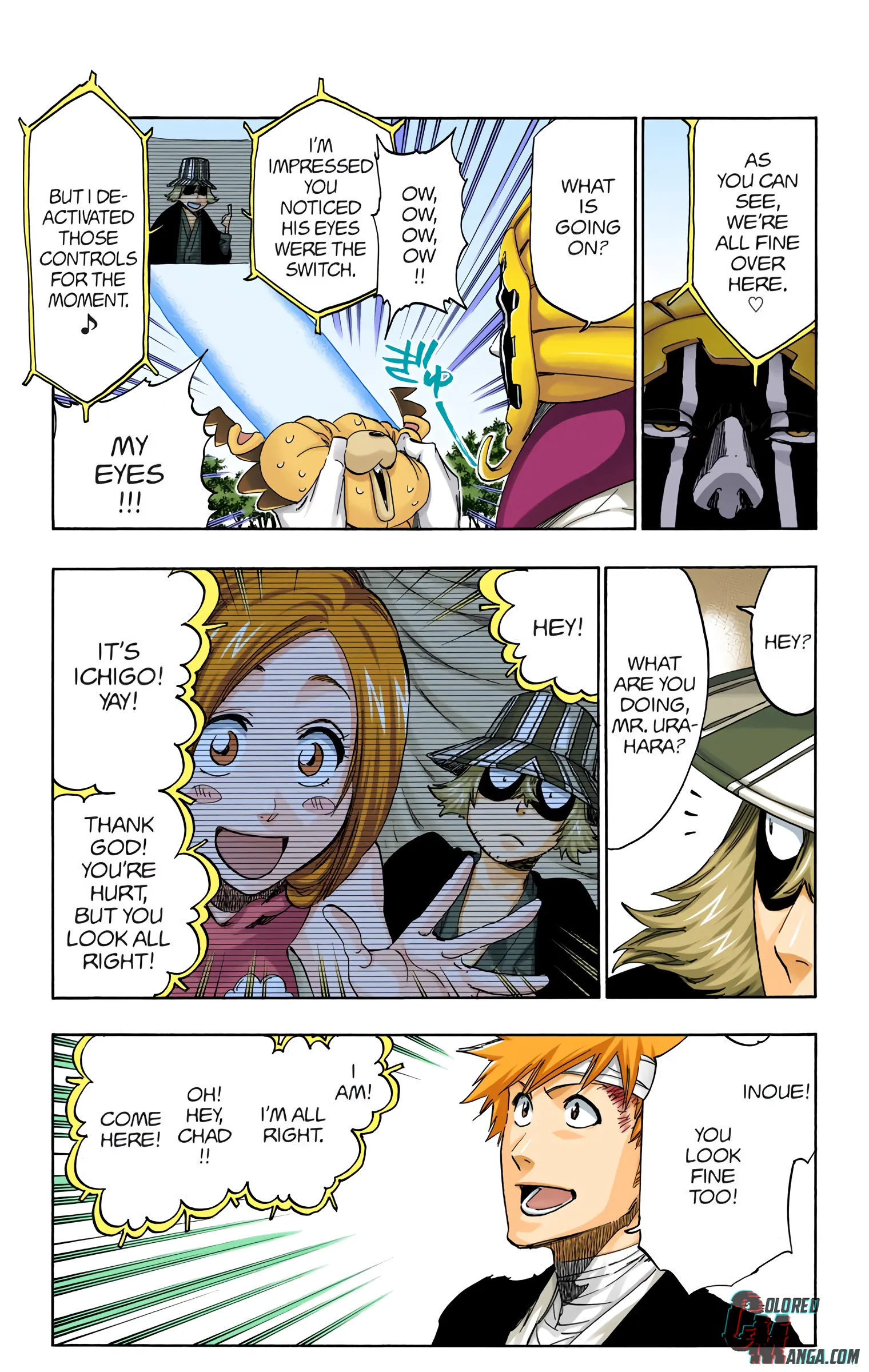 Read Bleach (Colored) EN Manga Online