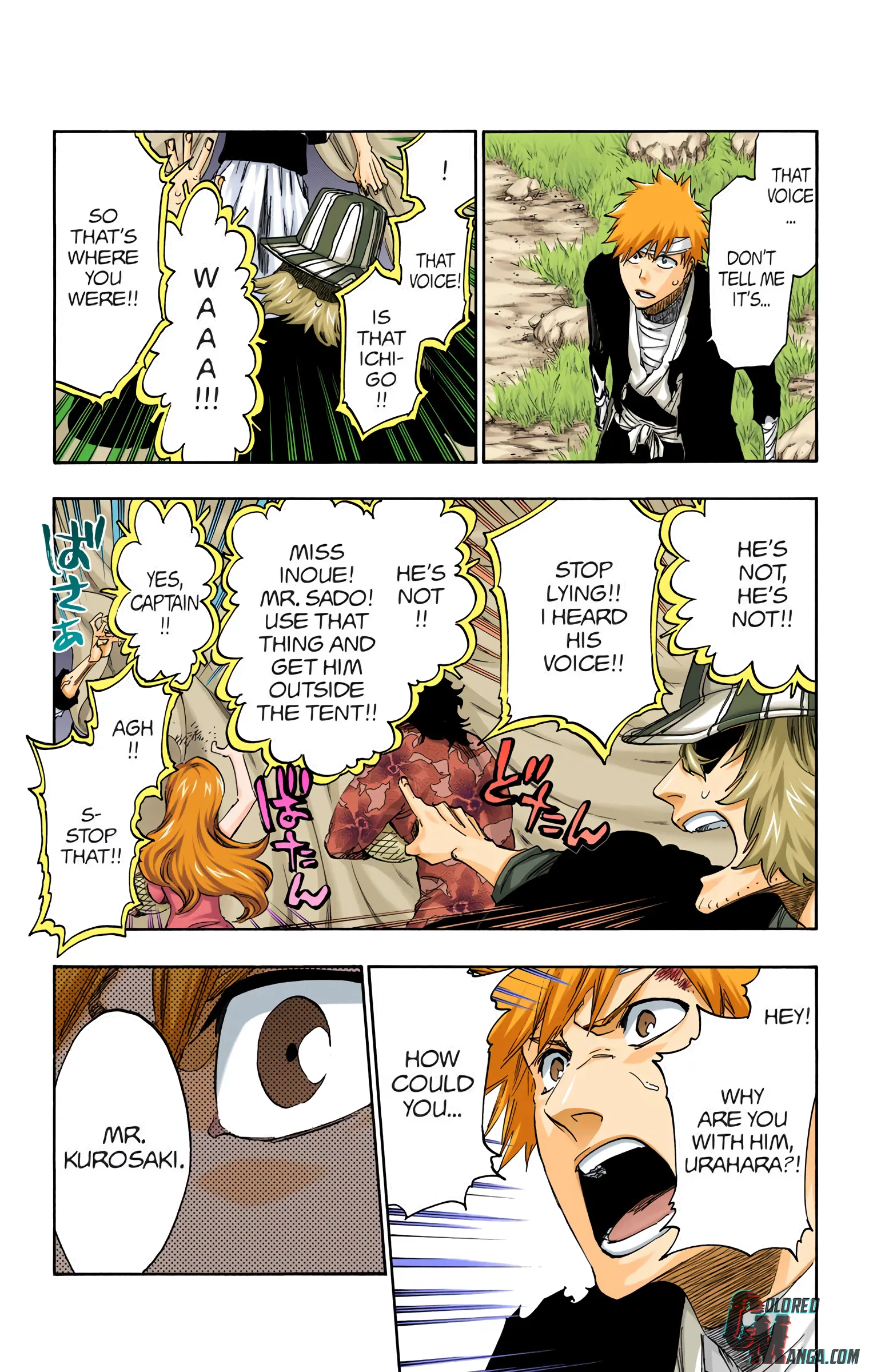 Read Bleach (Colored) EN Manga Online