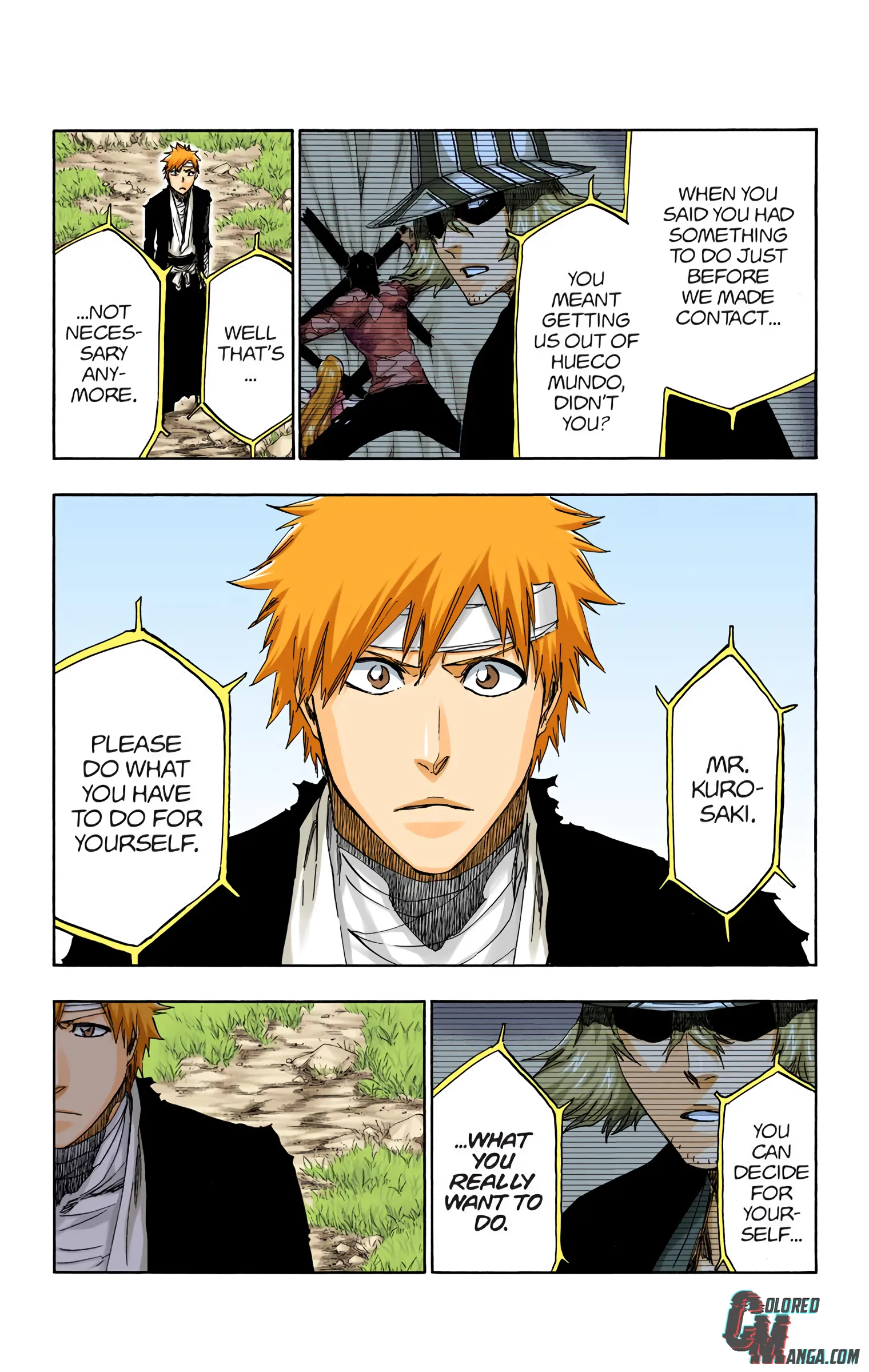 Read Bleach (Colored) EN Manga Online