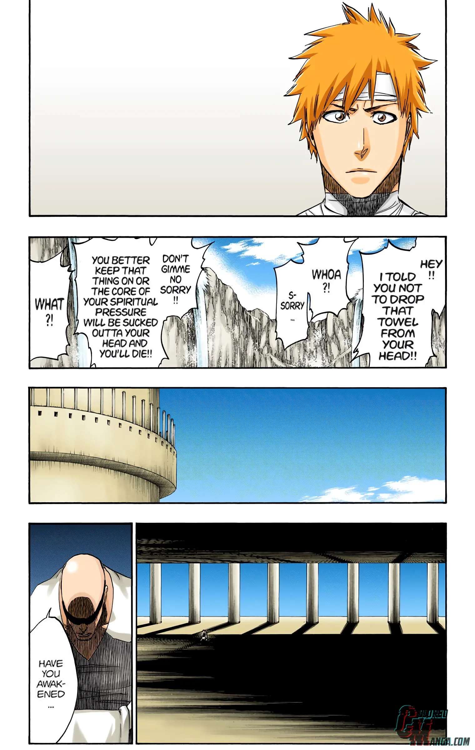 Read Bleach (Colored) EN Manga Online