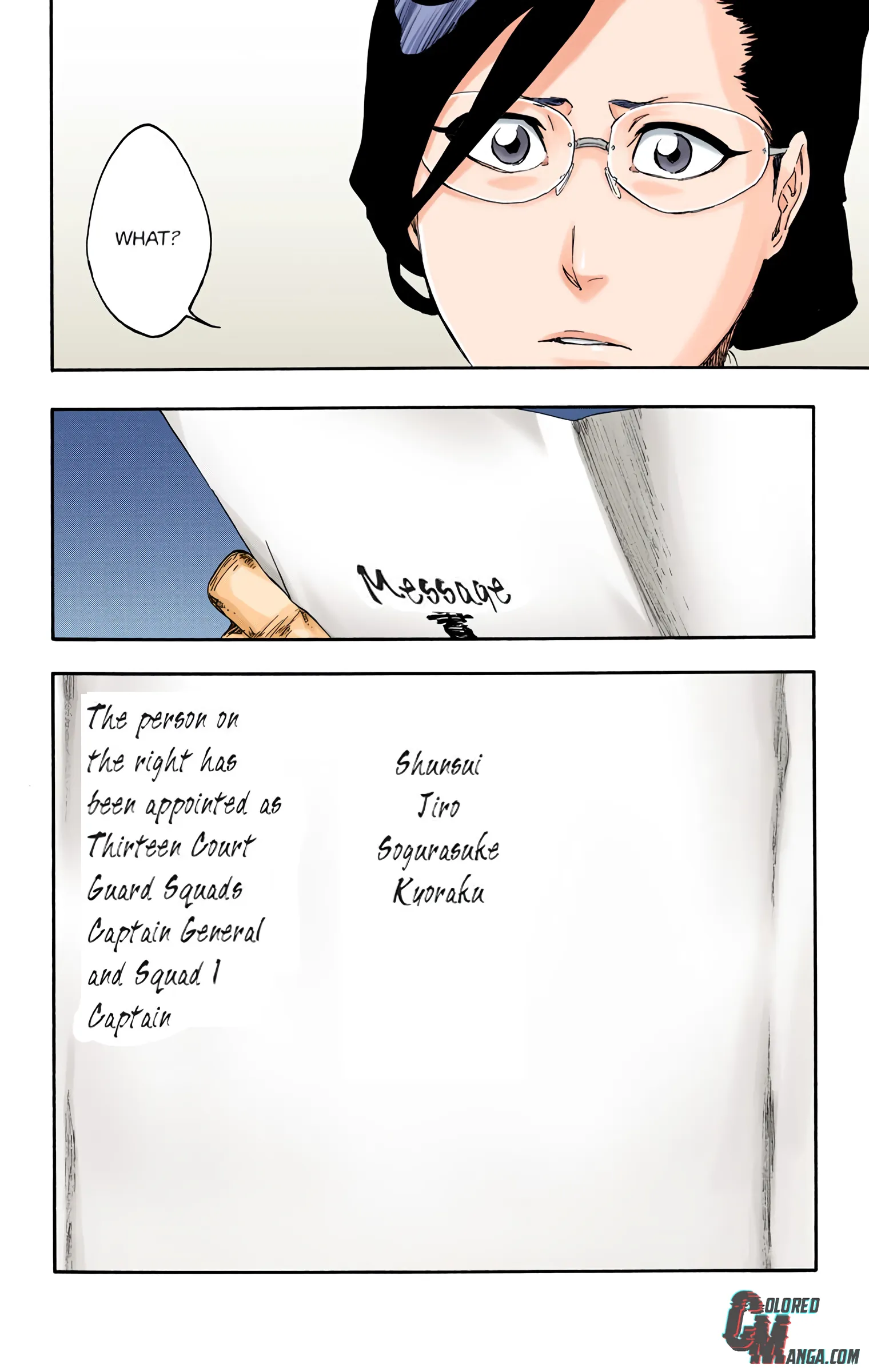 Read Bleach (Colored) EN Manga Online
