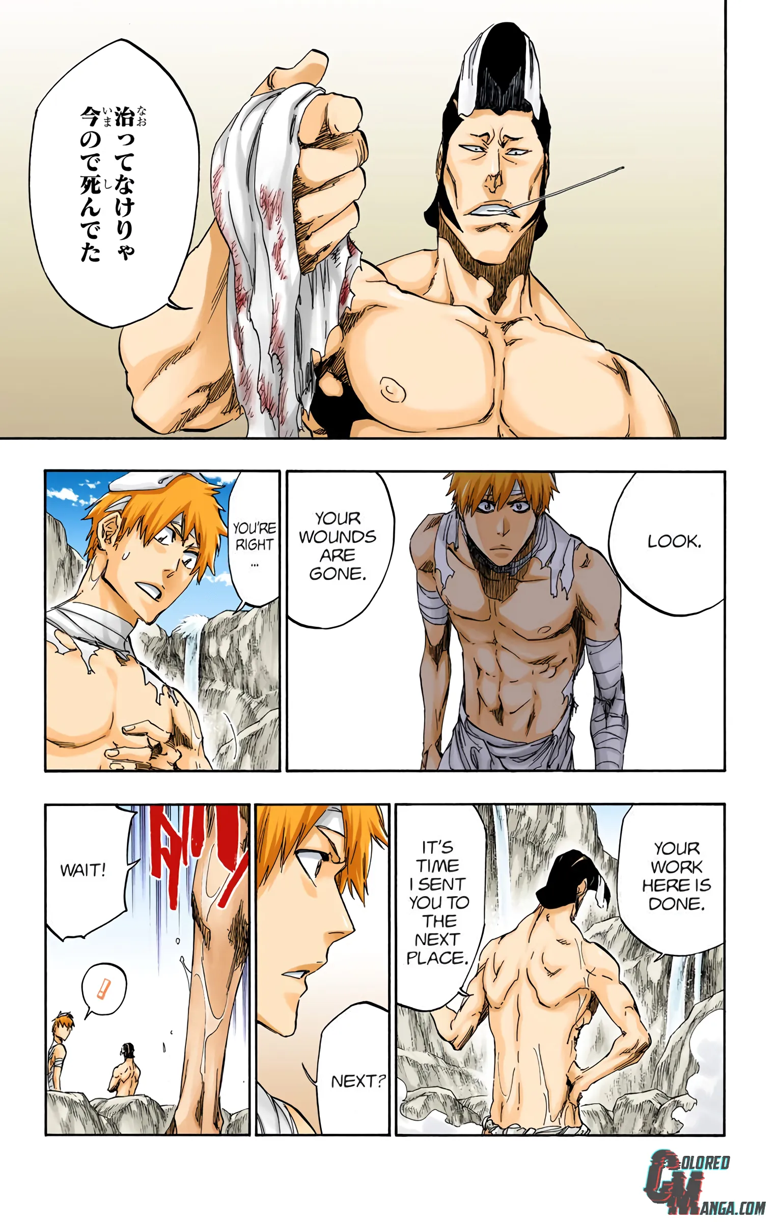 Read Bleach (Colored) EN Manga Online