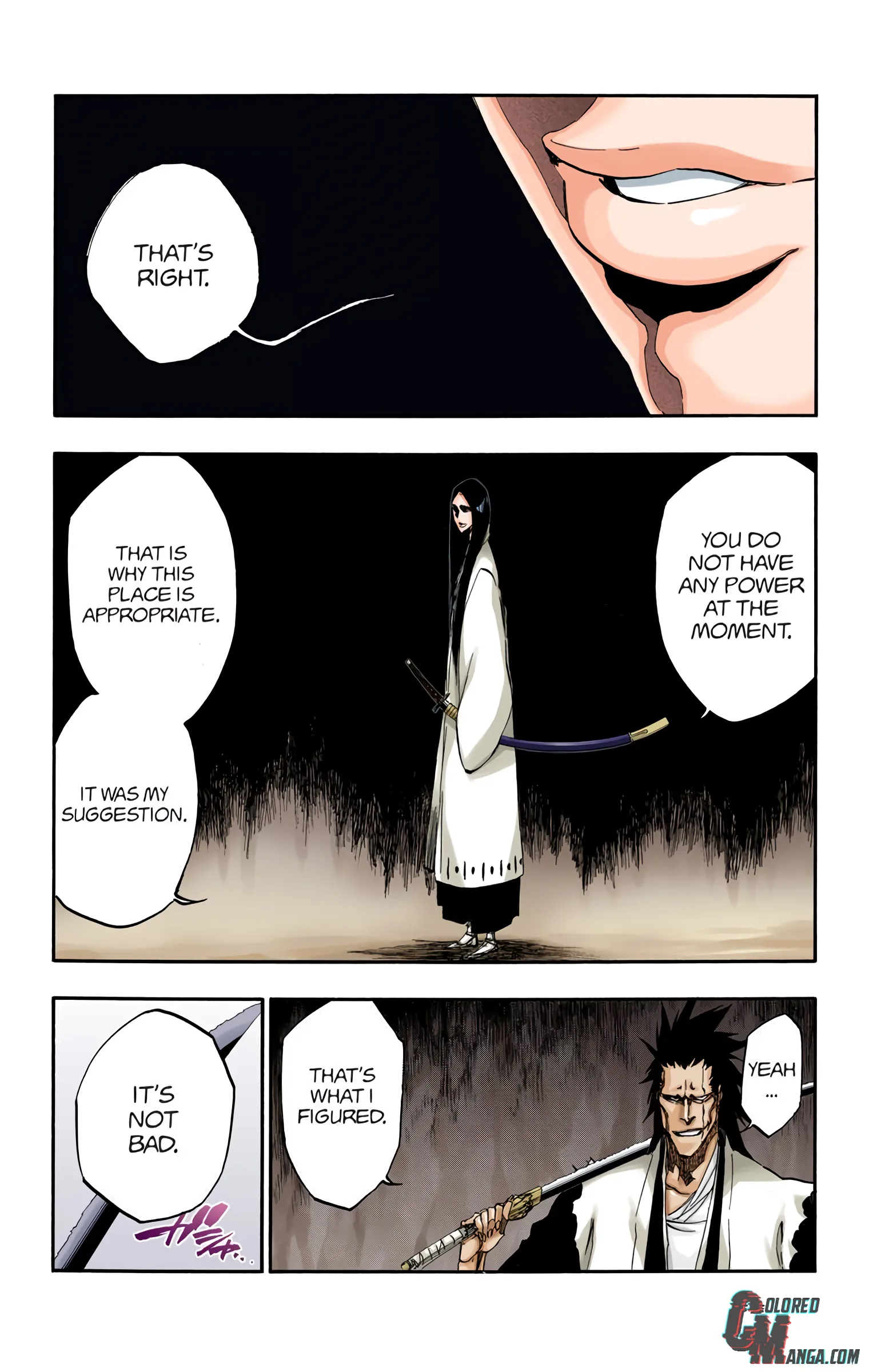 Read Bleach (Colored) EN Manga Online