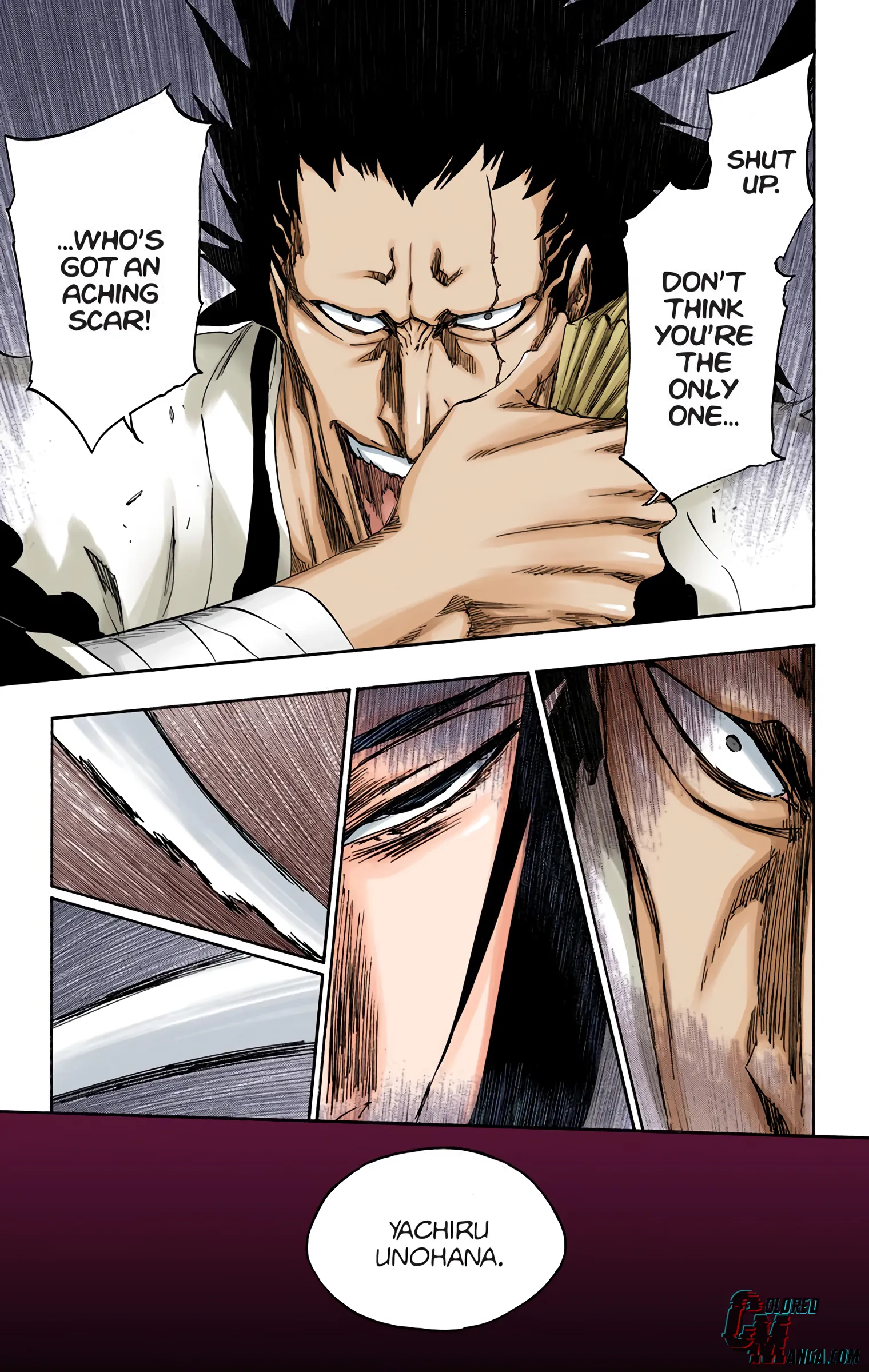 Read Bleach (Colored) EN Manga Online